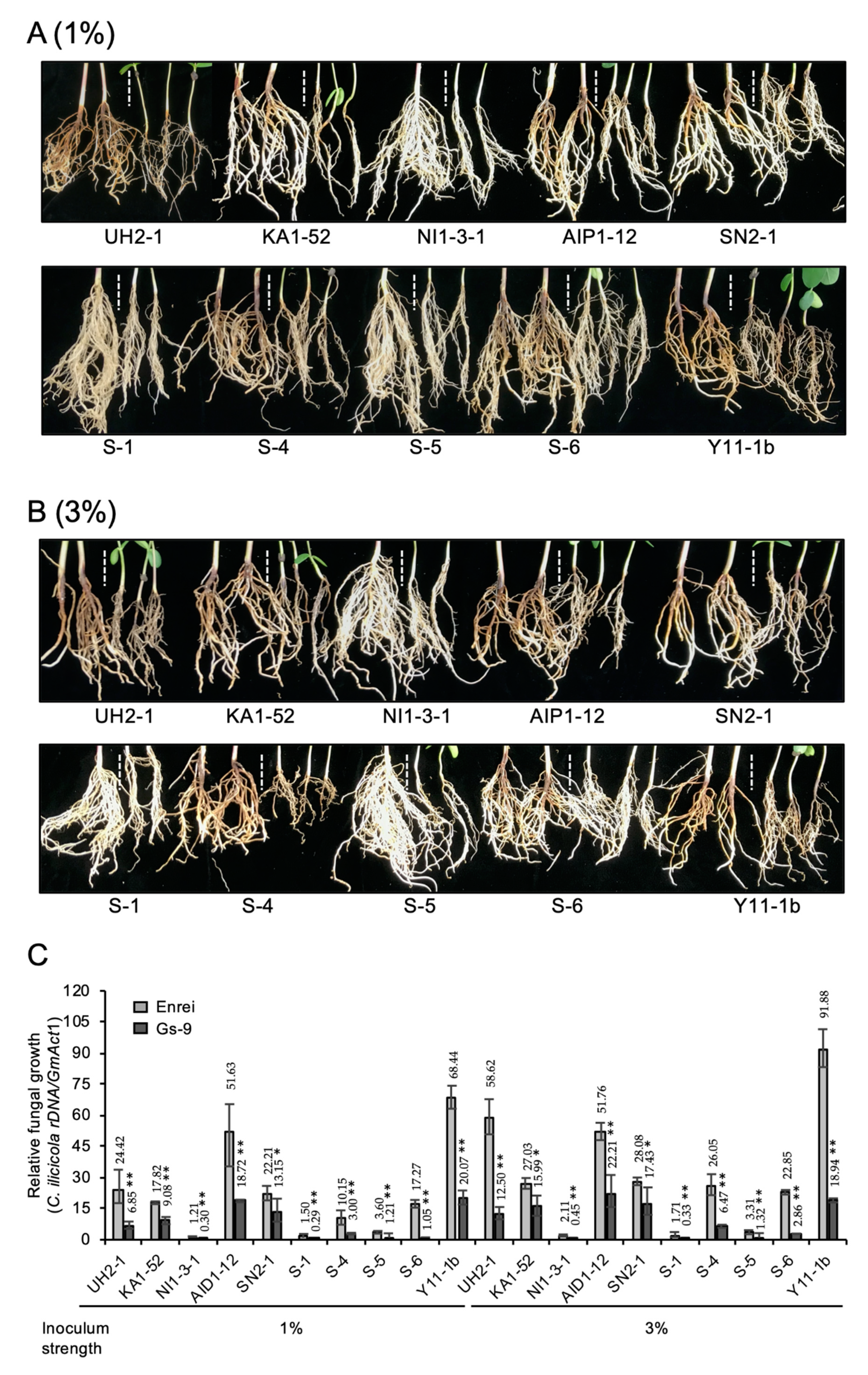 Agronomy 10 00887 g005