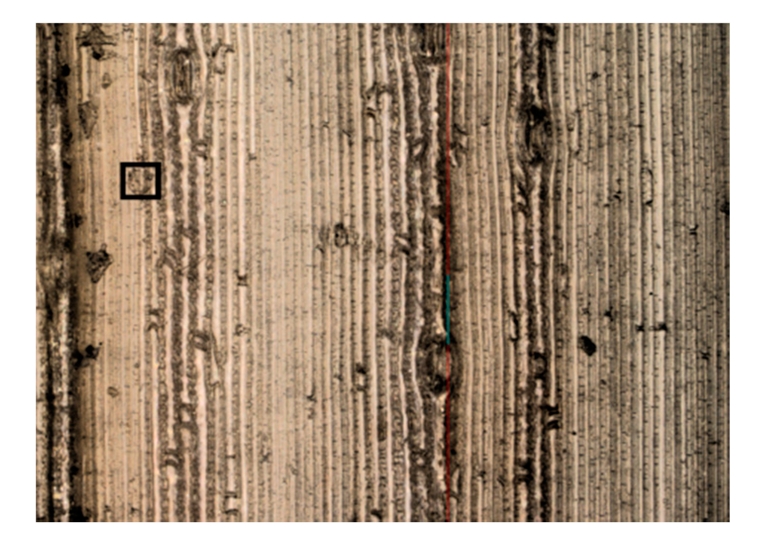 Agronomy 10 00894 g011