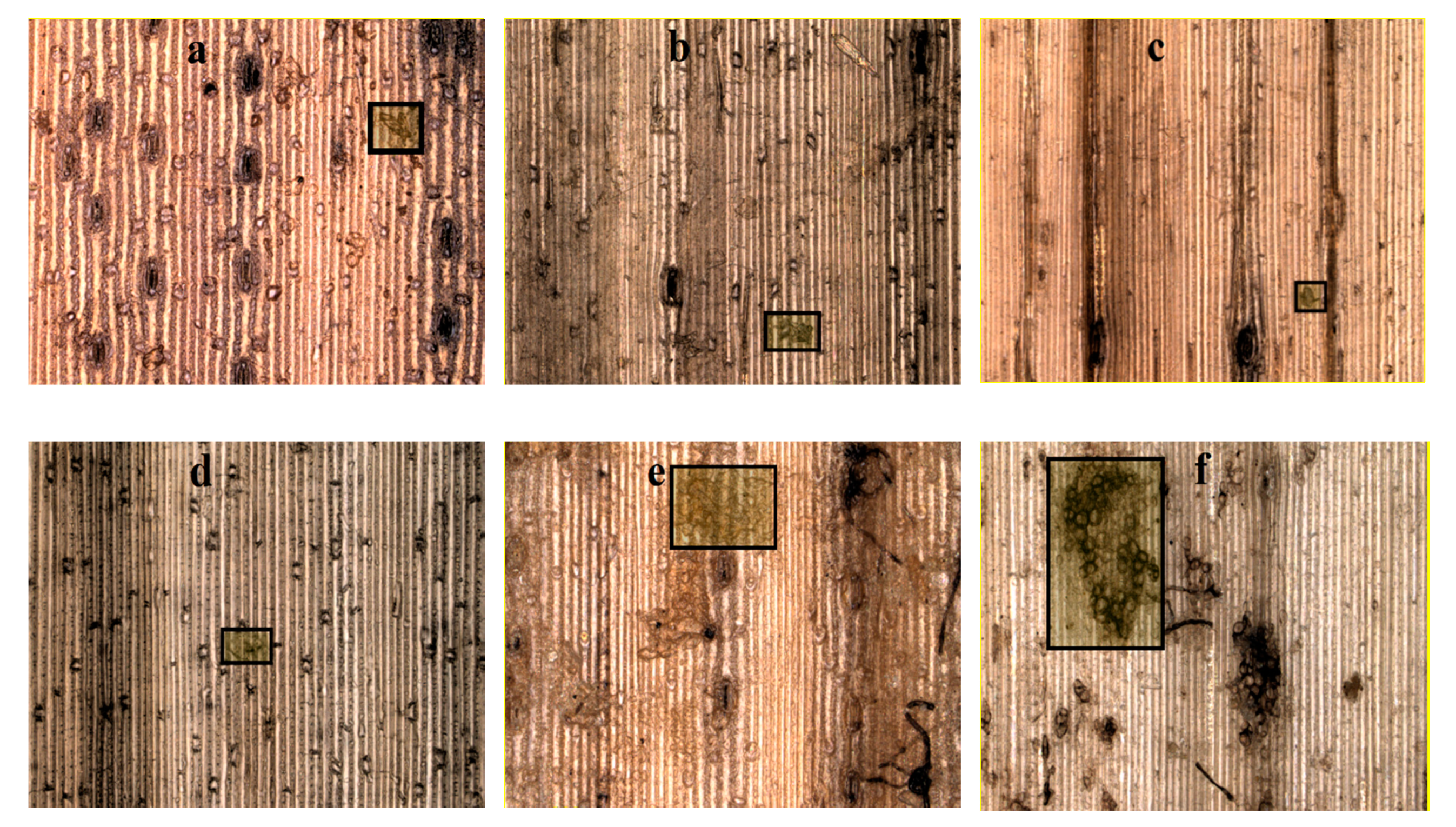 Agronomy 10 00894 g012