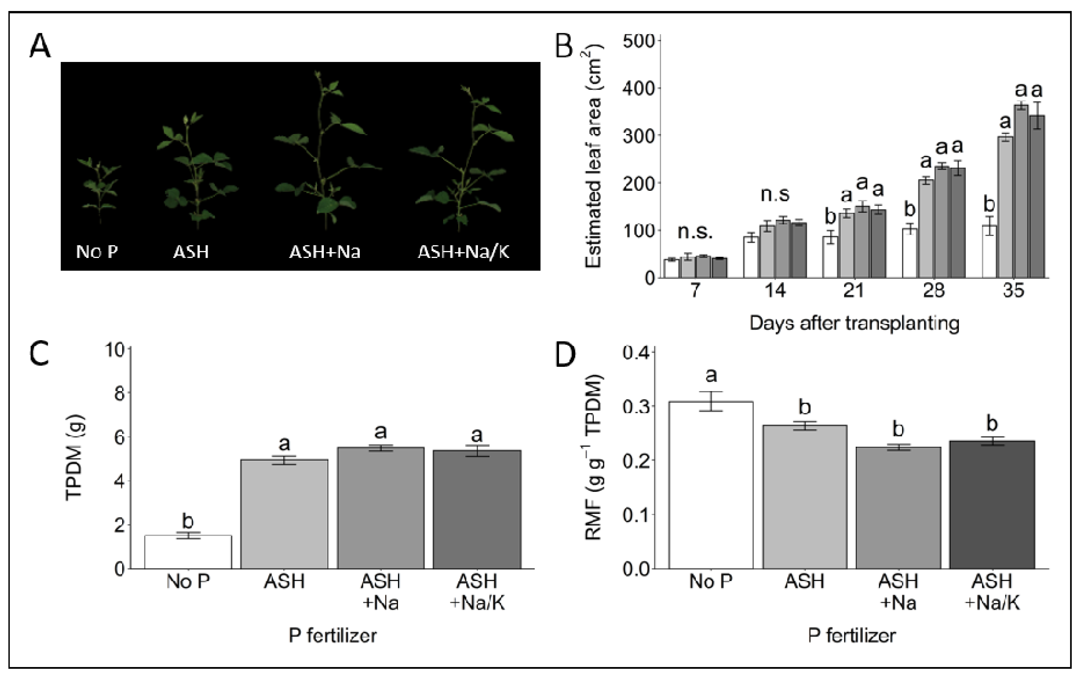 Agronomy 10 00895 g004 Agronomy 10 00895 g004