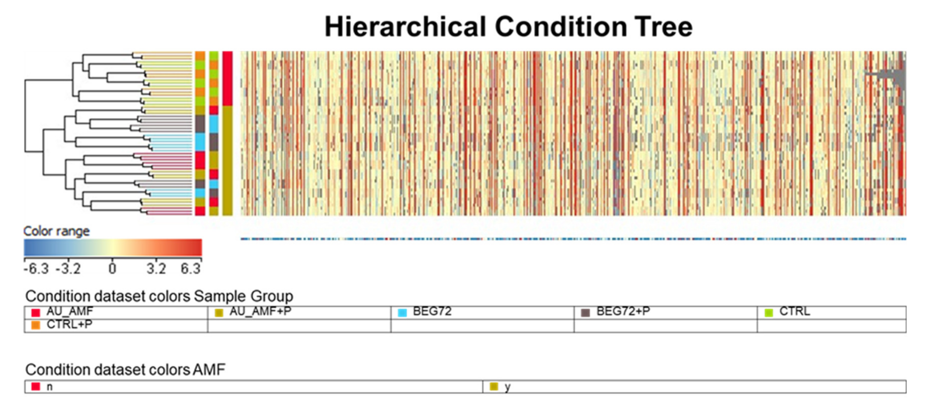 Agronomy 10 00899 g003