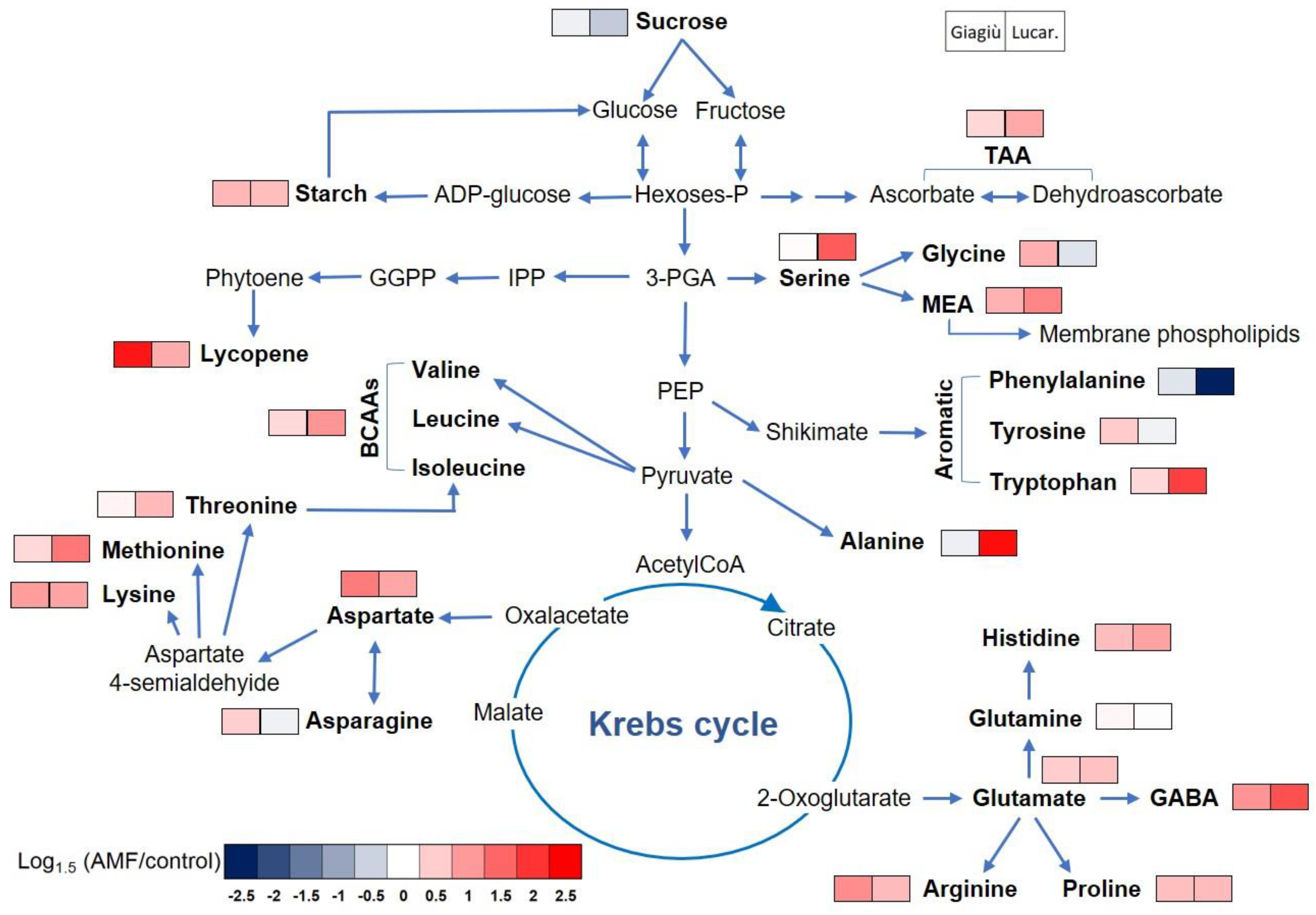 Agronomy 10 00911 g005 Agronomy 10 00911 g005