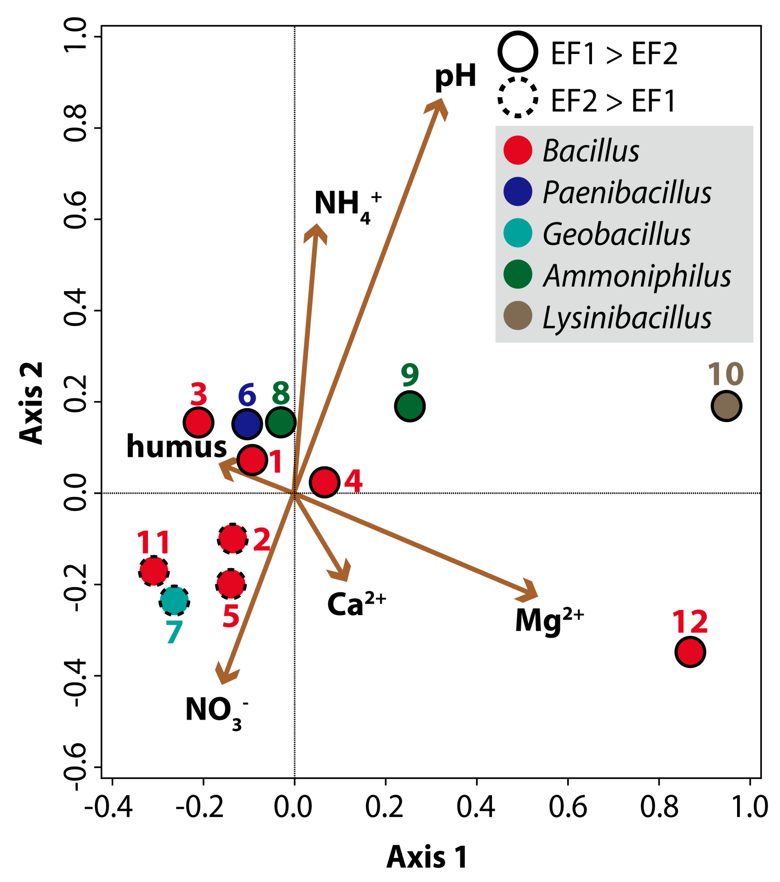 Agronomy 10 00929 g004