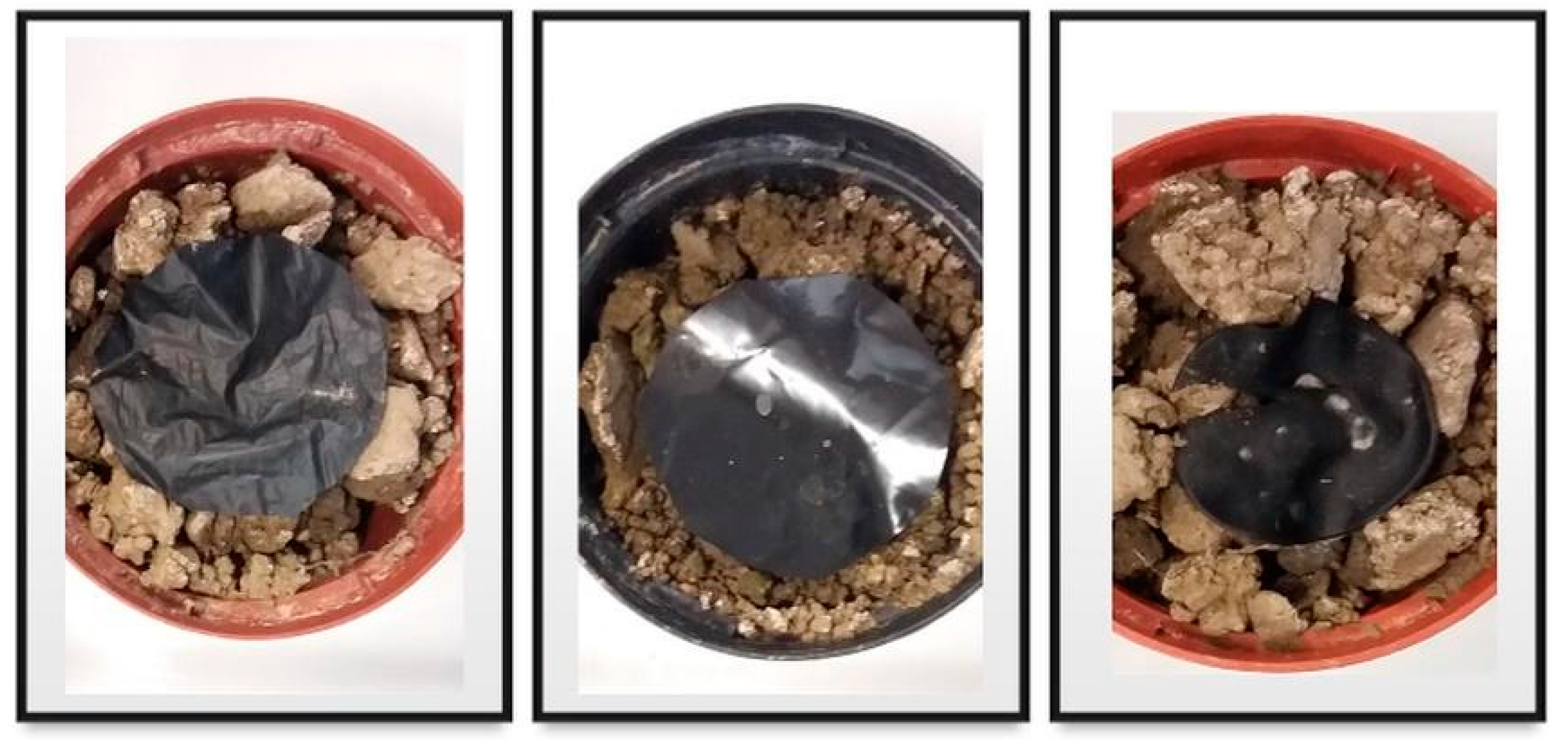 Agronomy 10 00933 g002 Agronomy 10 00933 g002