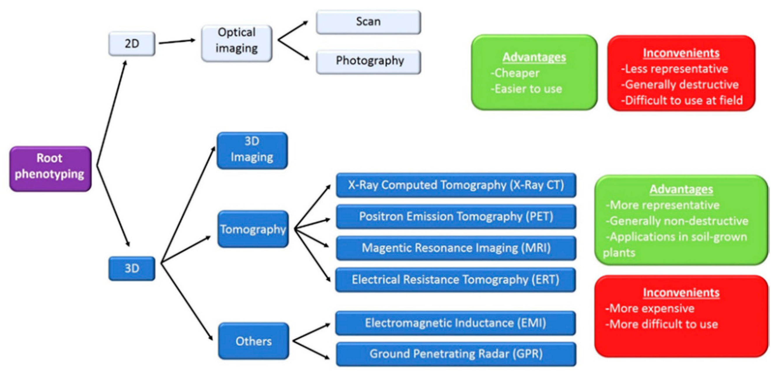 Agronomy 10 00942 g001