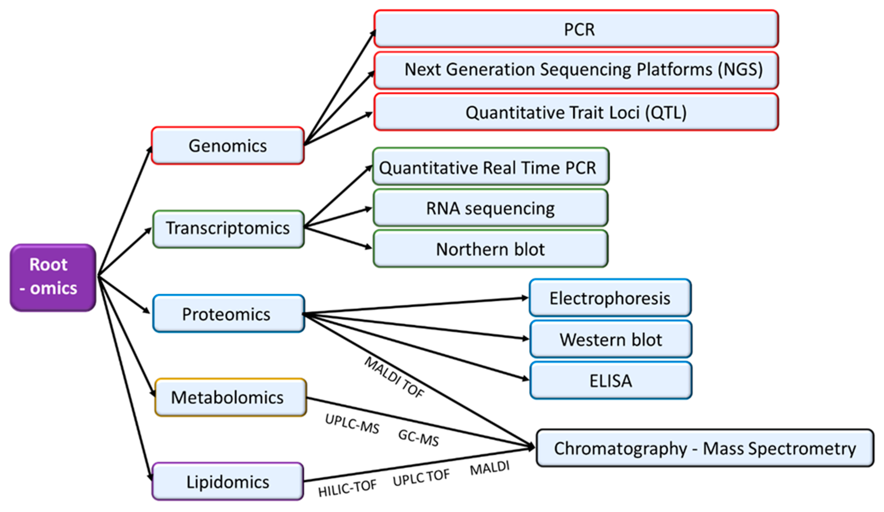 Agronomy 10 00942 g002
