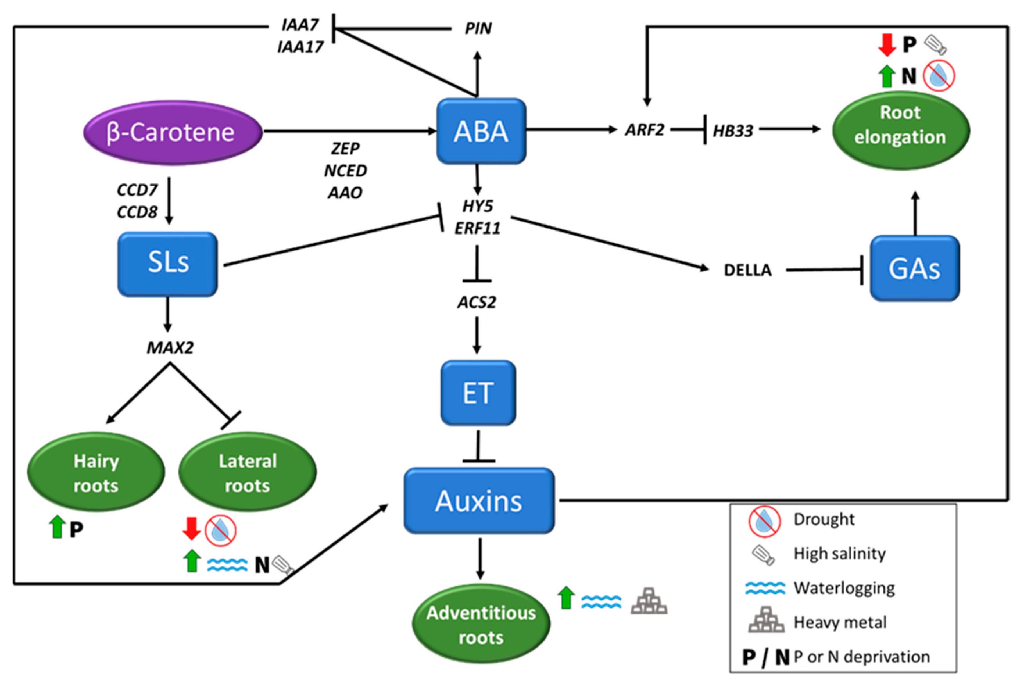 Agronomy 10 00942 g004