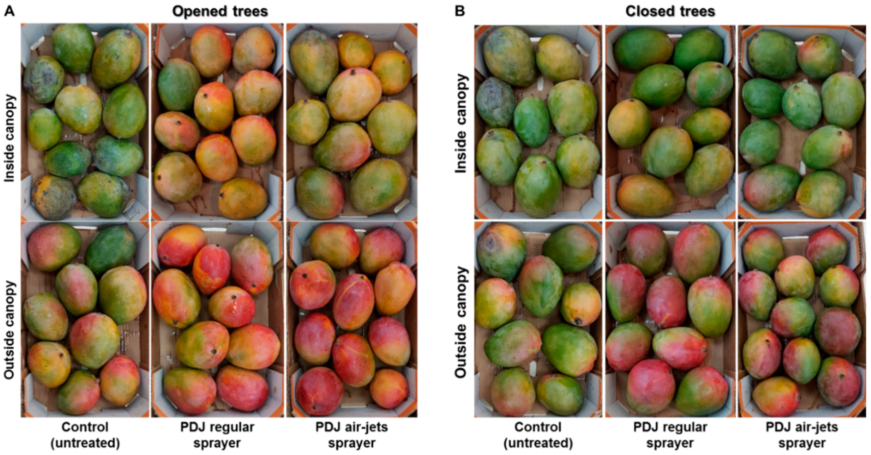 Agronomy 10 00944 g001