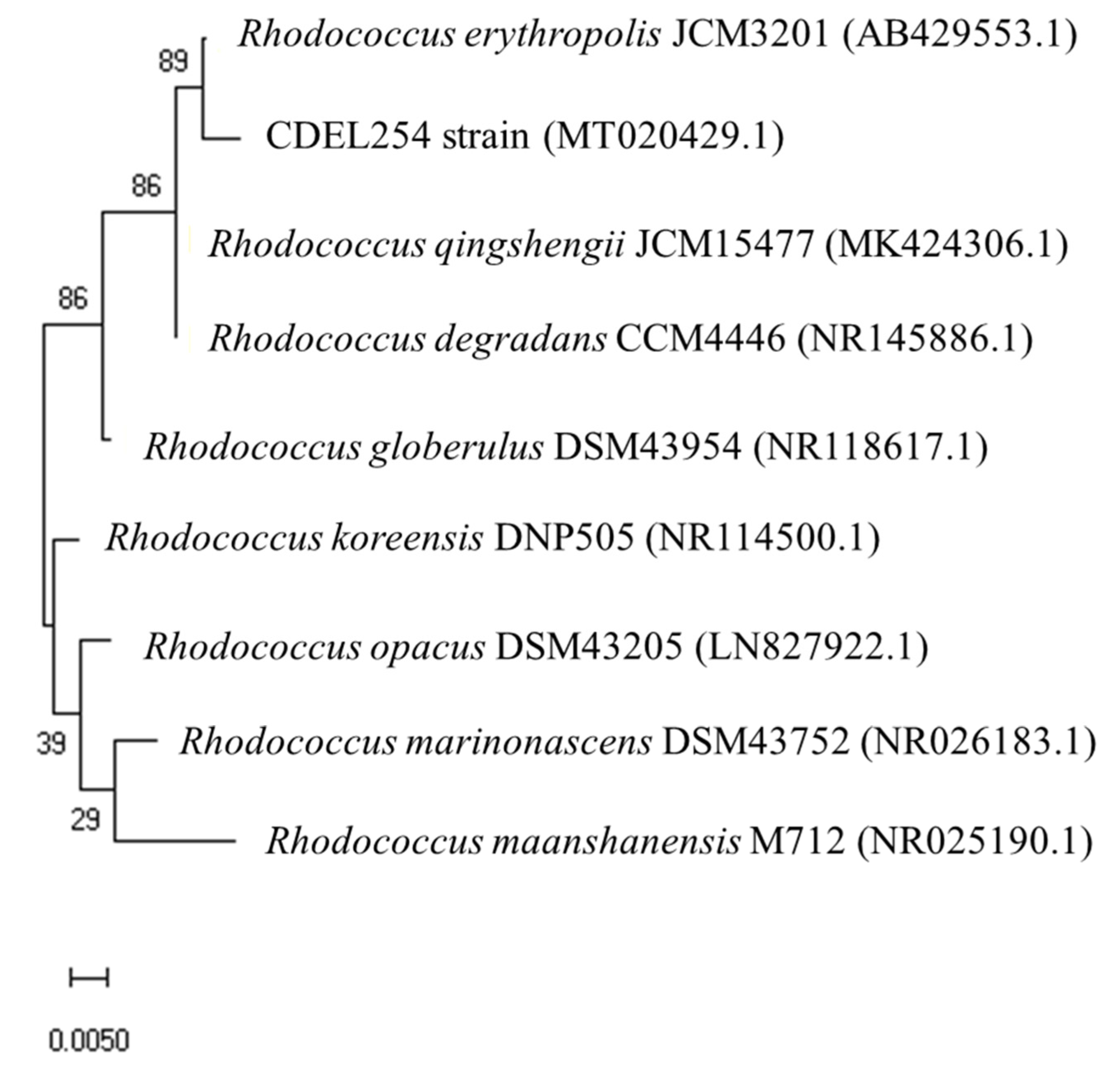 Agronomy 10 00947 g001 Agronomy 10 00947 g001