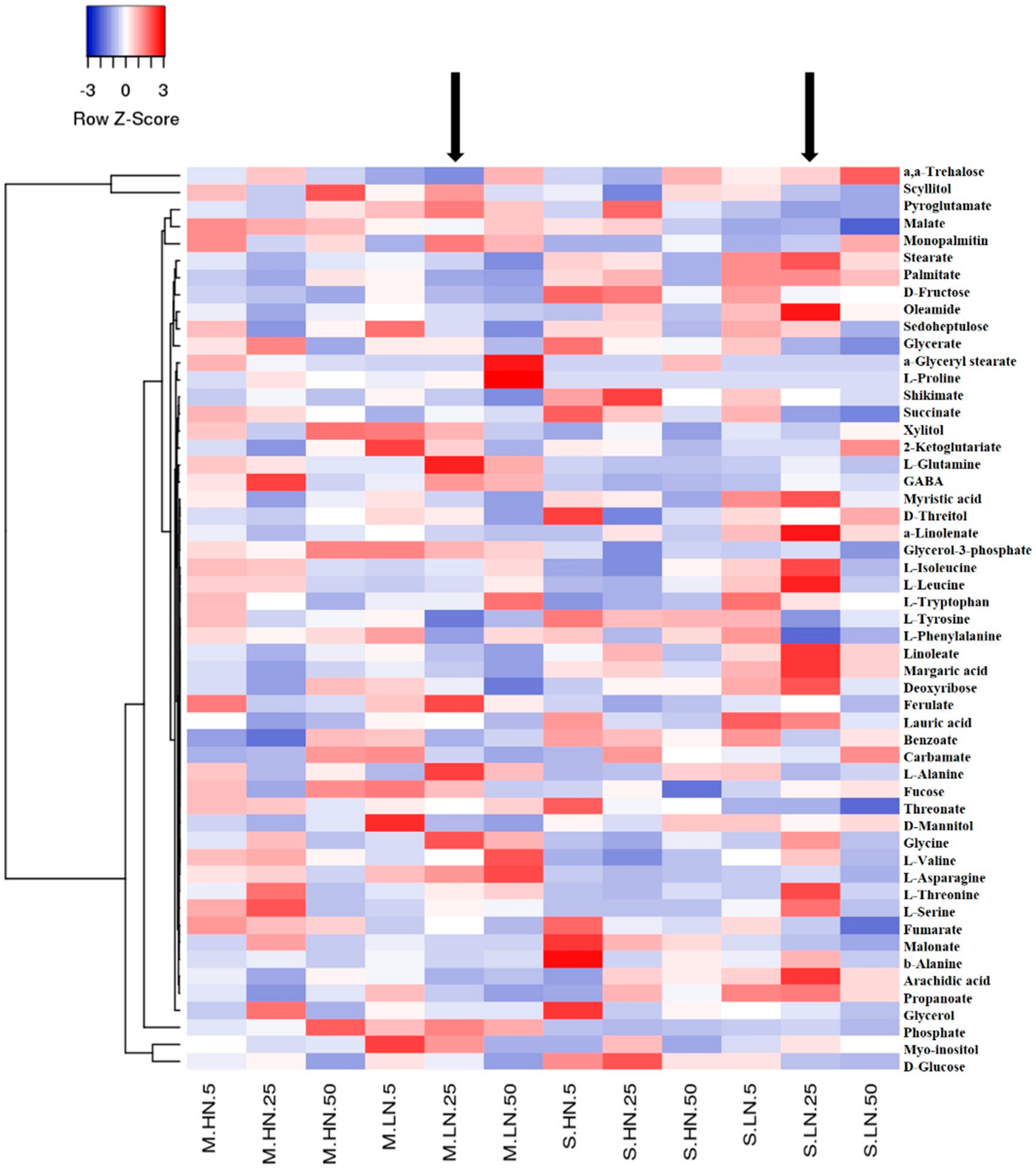 Agronomy 10 00952 g003