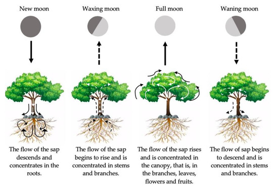 Agronomy 10 00955 g003 550