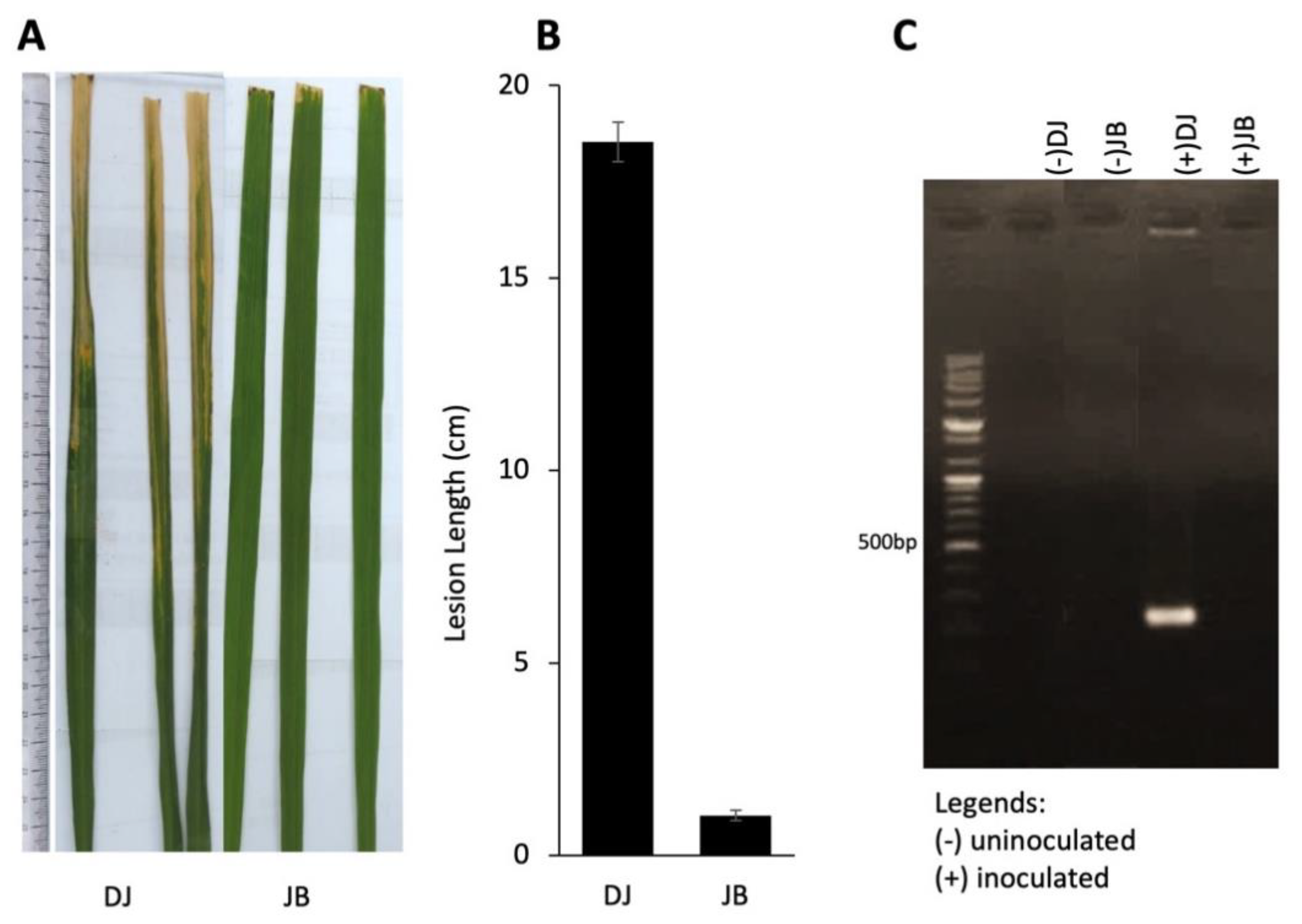 Agronomy 10 00960 g001 Agronomy 10 00960 g001