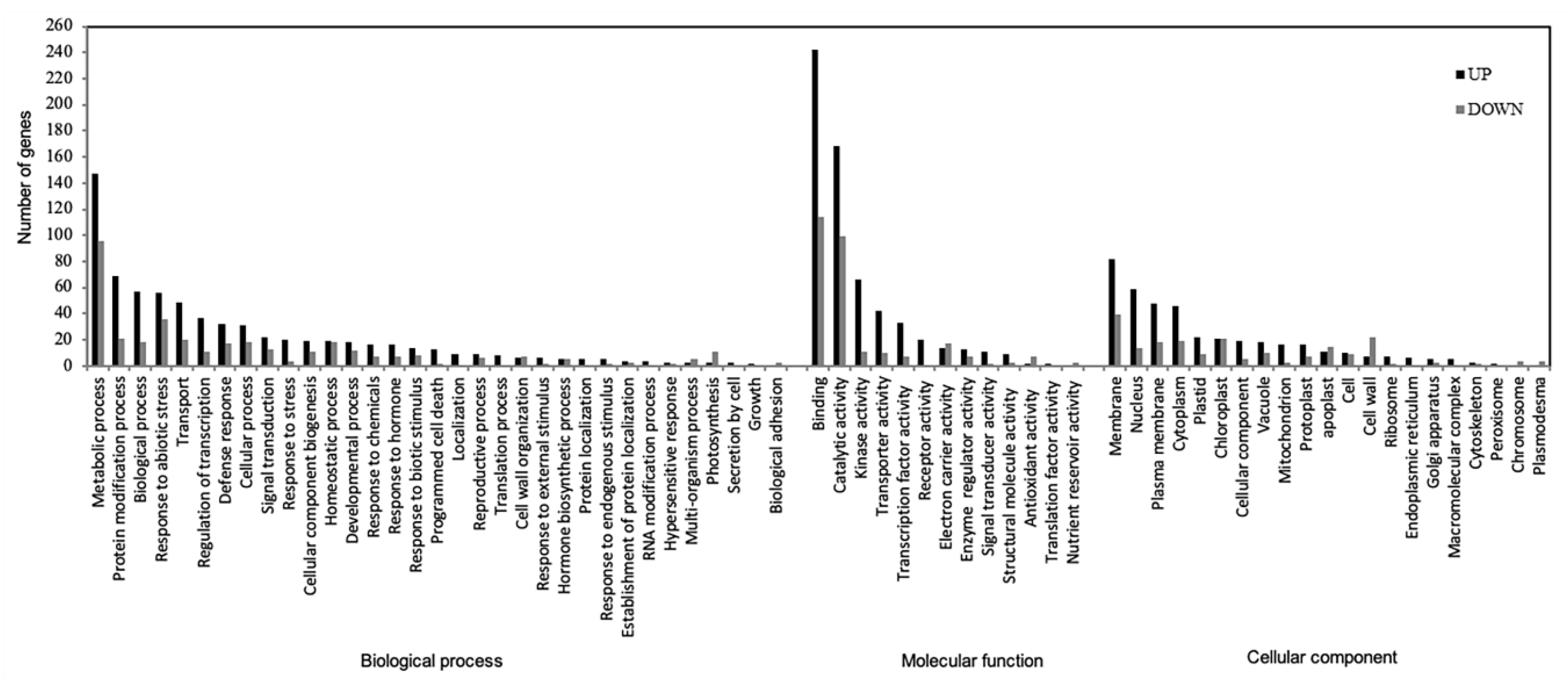Agronomy 10 00960 g004 Agronomy 10 00960 g004