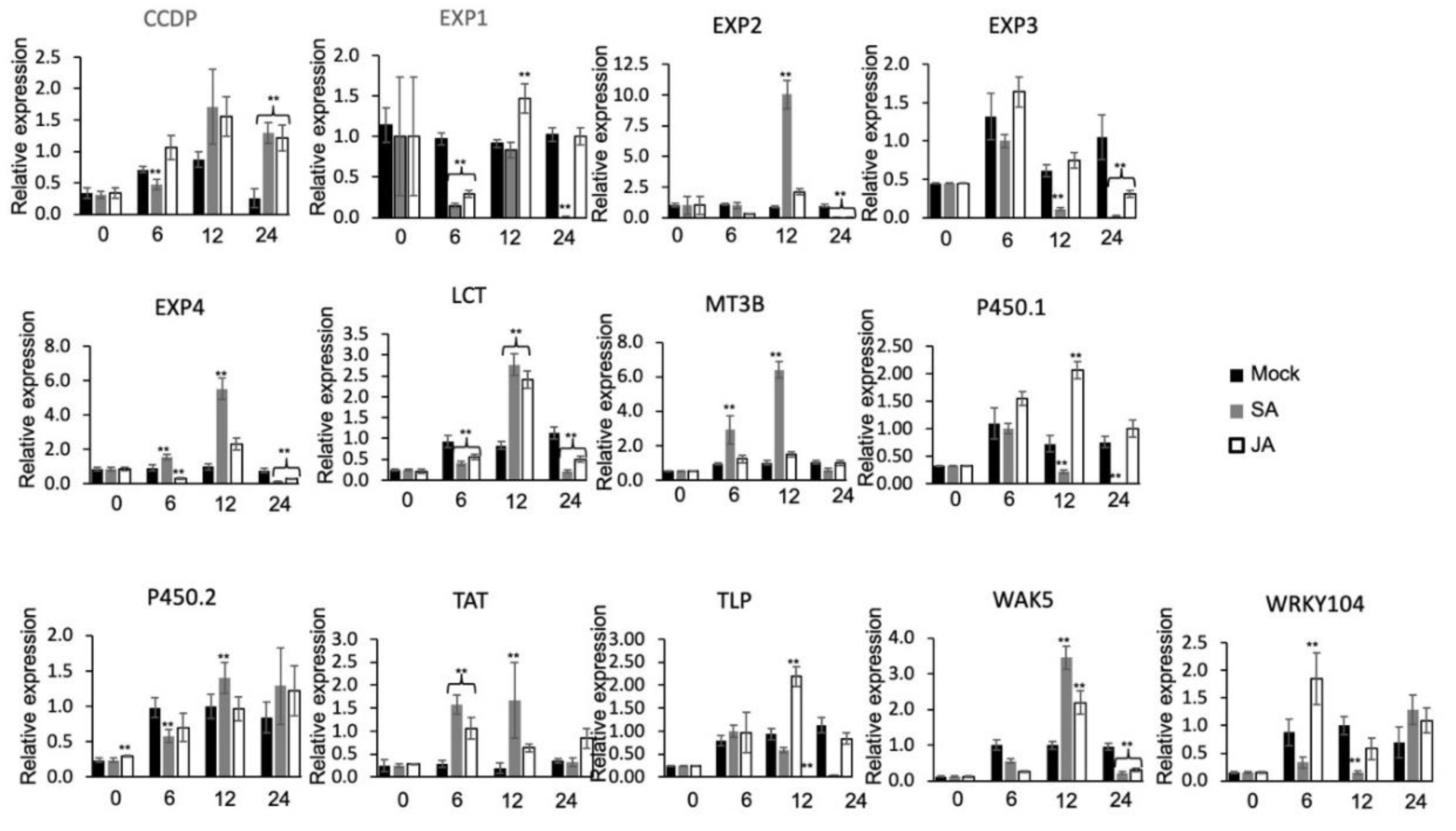 Agronomy 10 00960 g007 Agronomy 10 00960 g007