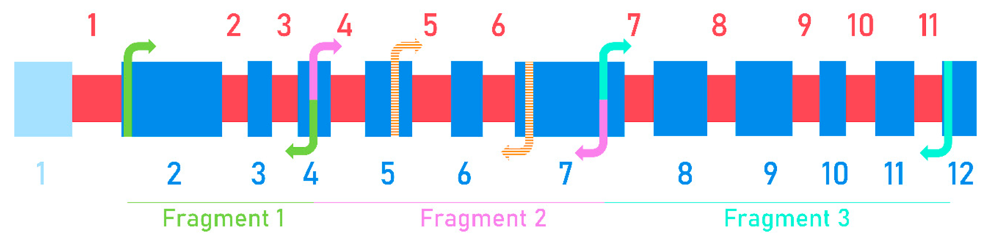 Agronomy 10 00963 g001