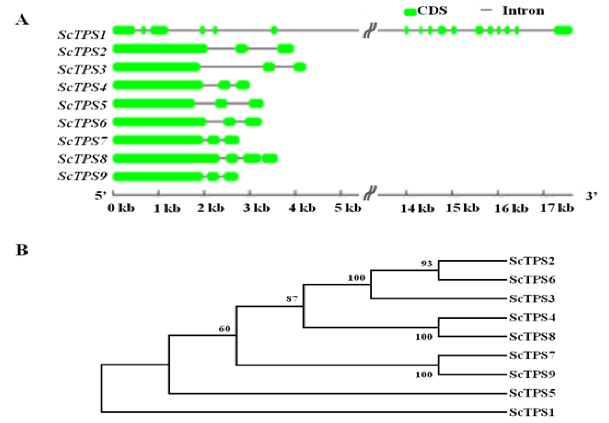 Agronomy 10 00969 g001 Agronomy 10 00969 g001