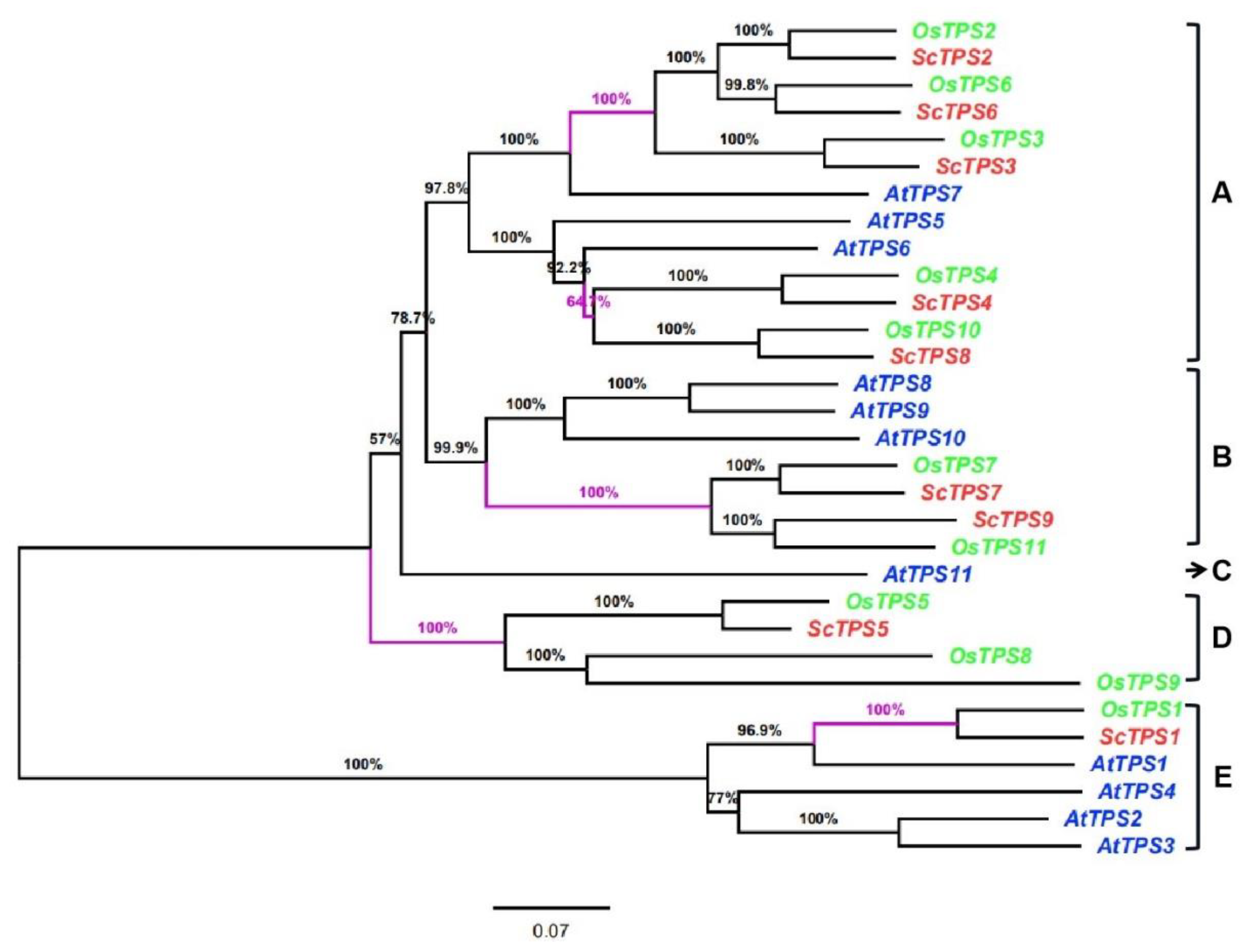 Agronomy 10 00969 g004 Agronomy 10 00969 g004