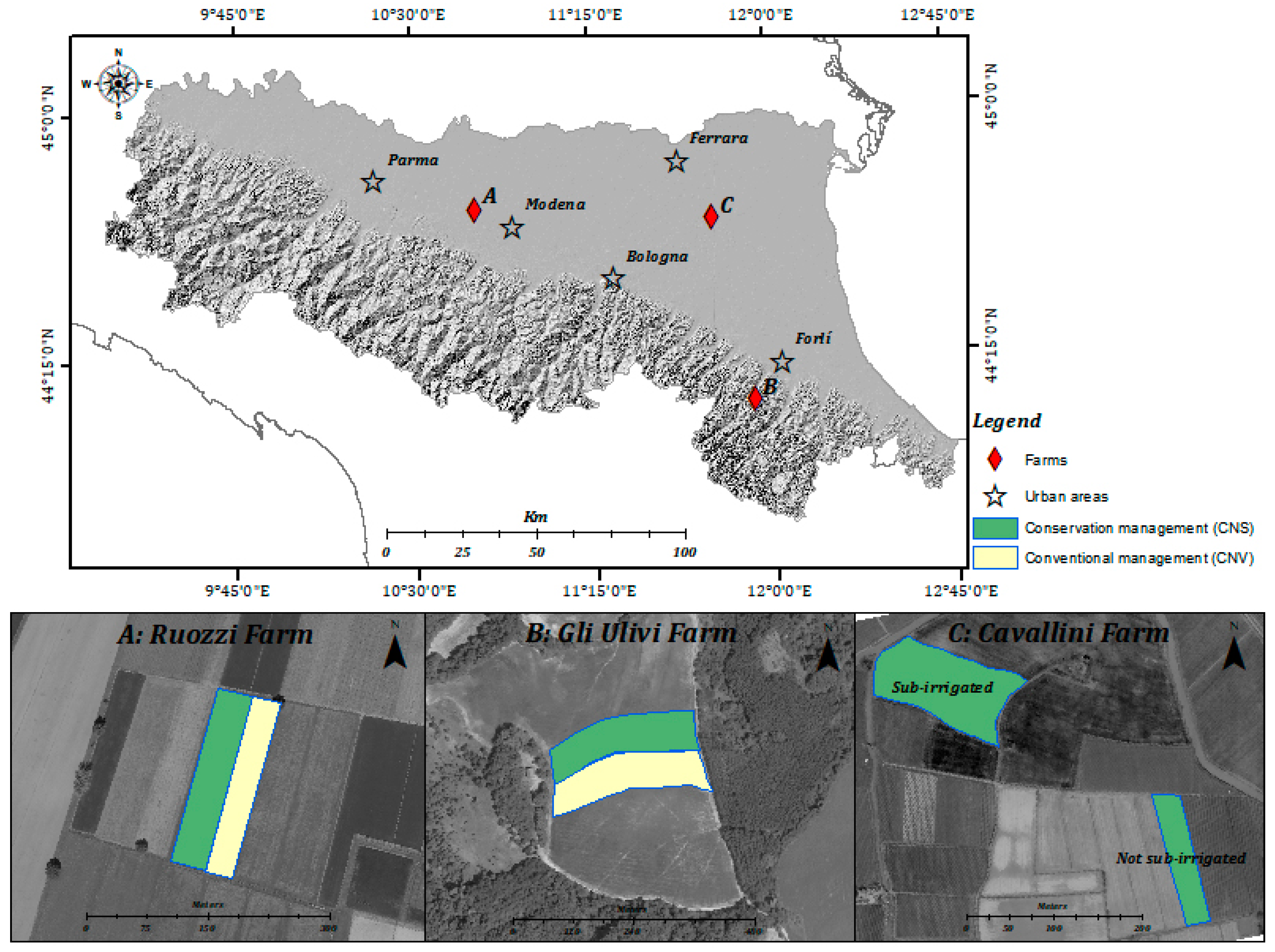 Agronomy 10 00982 g001