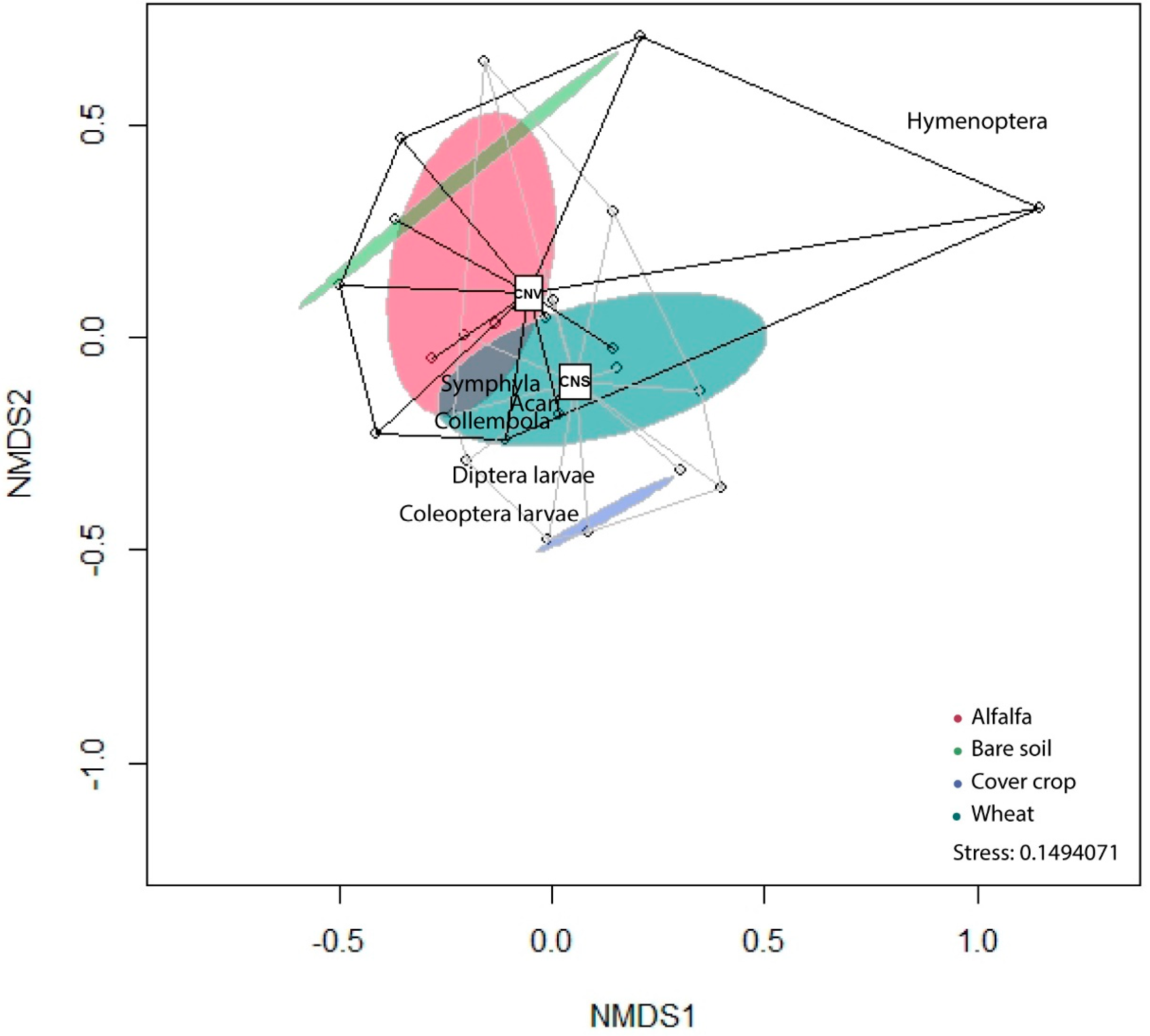 Agronomy 10 00982 g006