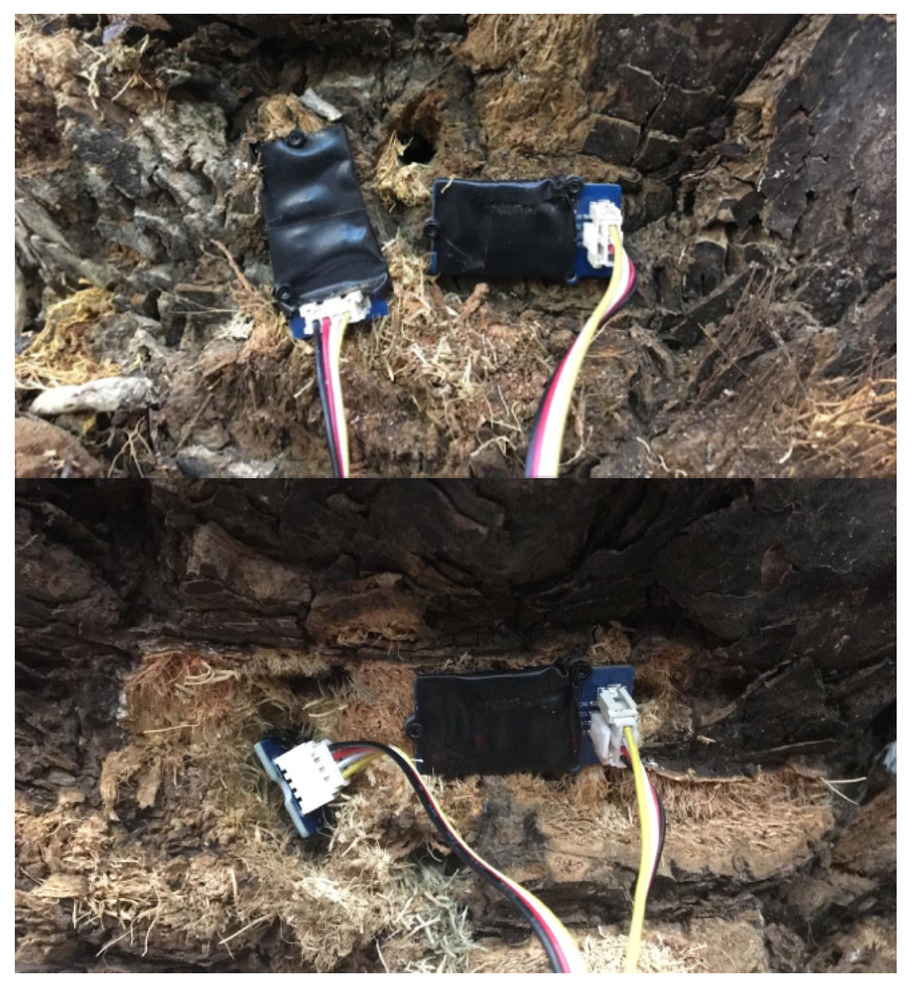 Agronomy 10 00987 g006 Agronomy 10 00987 g006