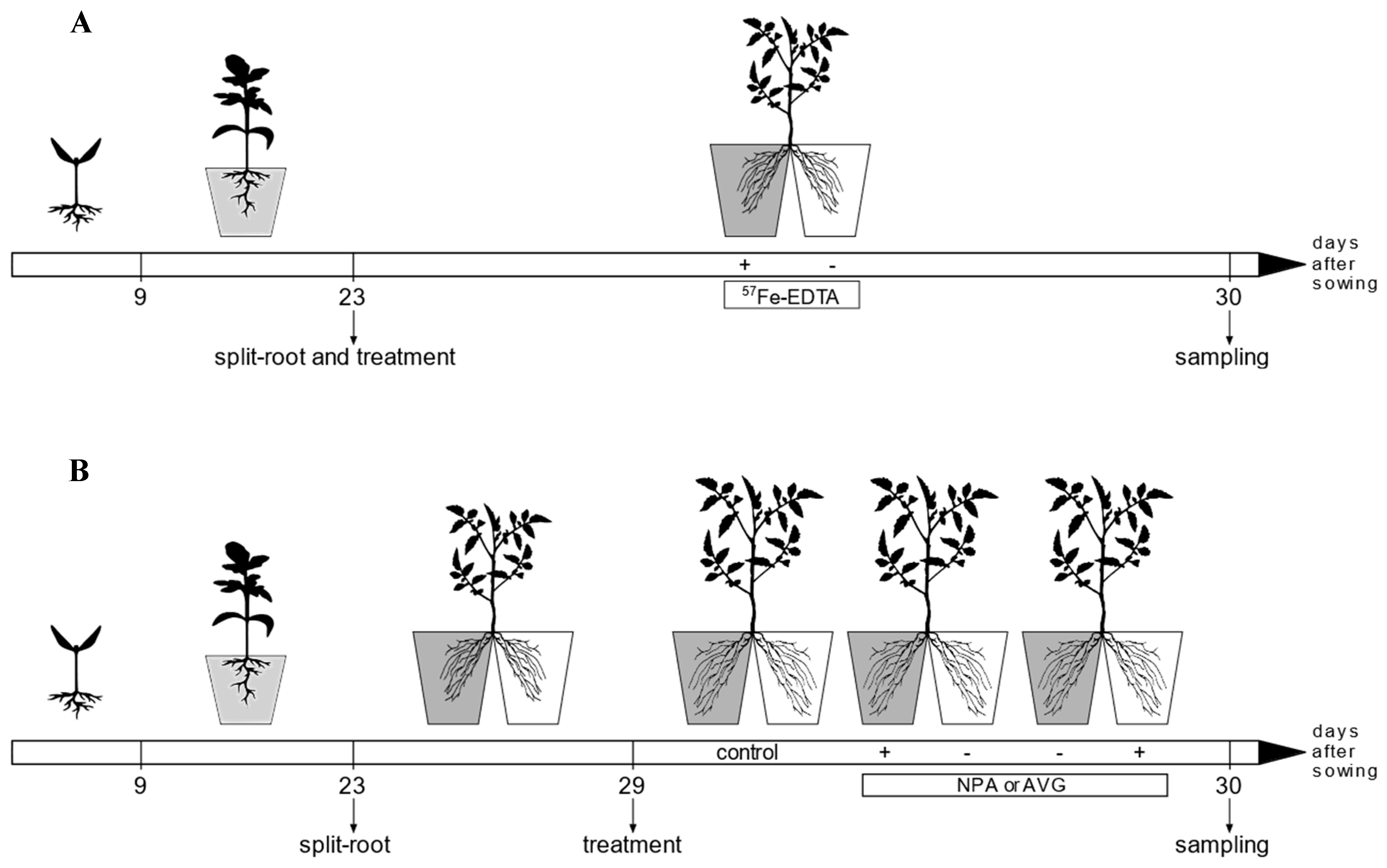 Agronomy 10 01000 g001 Agronomy 10 01000 g001