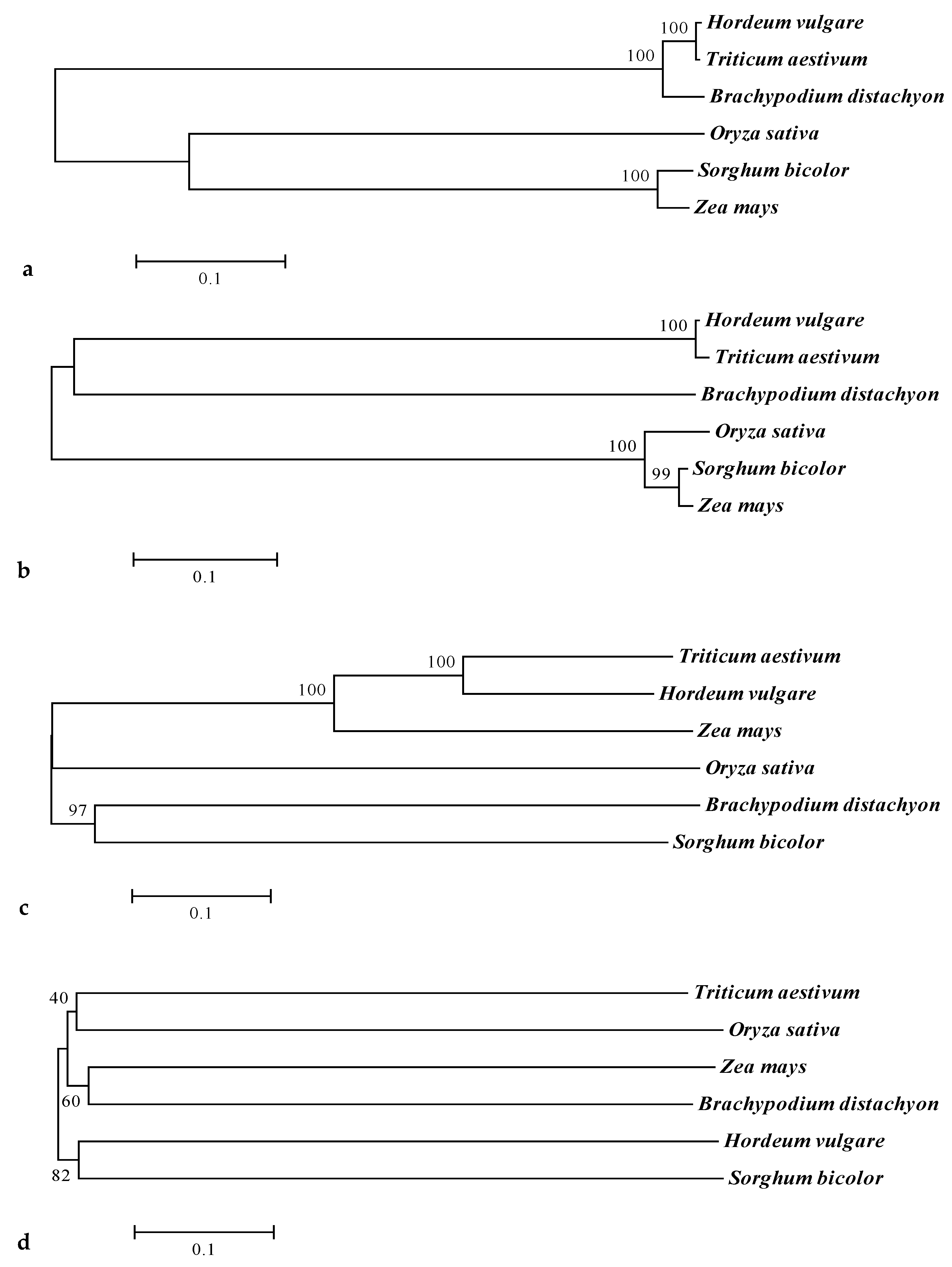 Agronomy 10 01001 g008 Agronomy 10 01001 g008