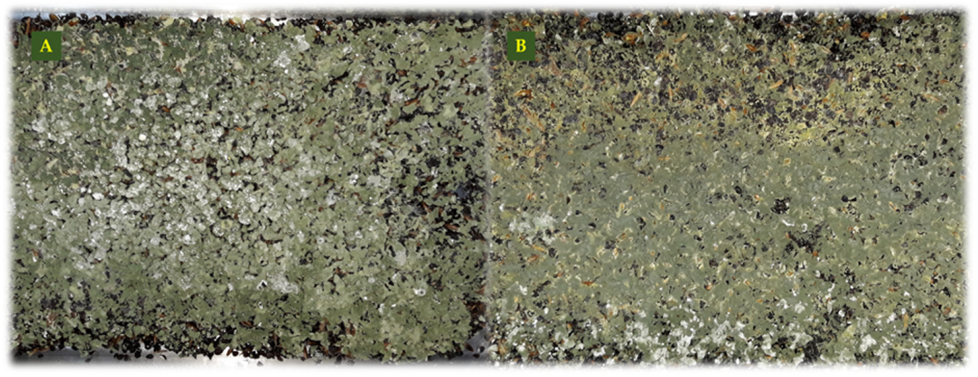 Agronomy 10 01004 g001 Agronomy 10 01004 g001