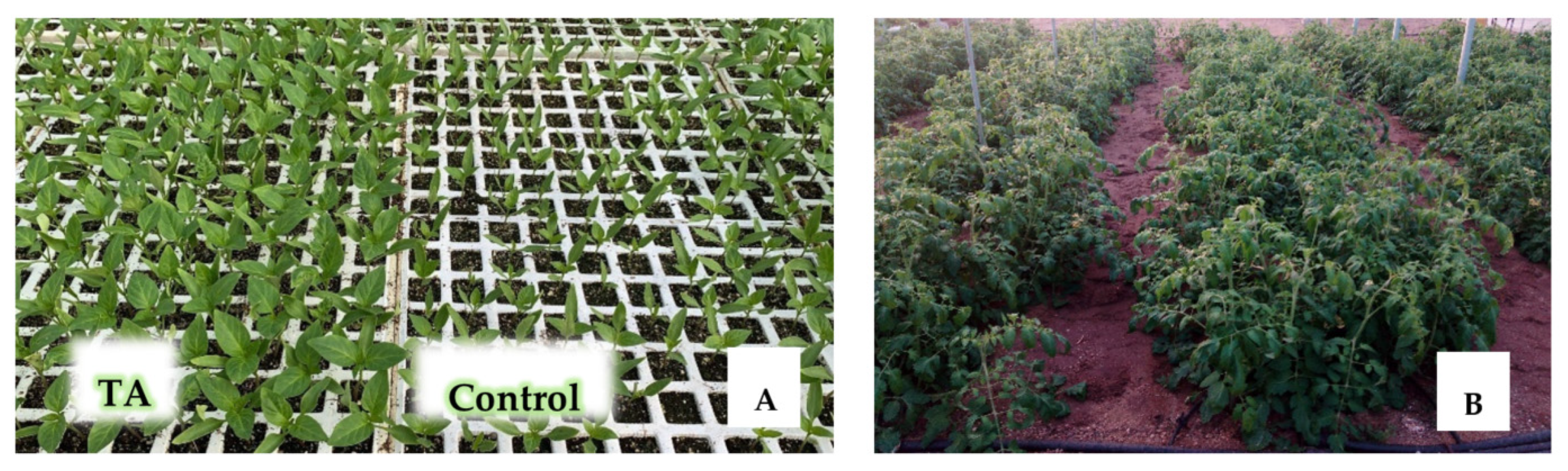 Agronomy 10 01004 g003 Agronomy 10 01004 g003