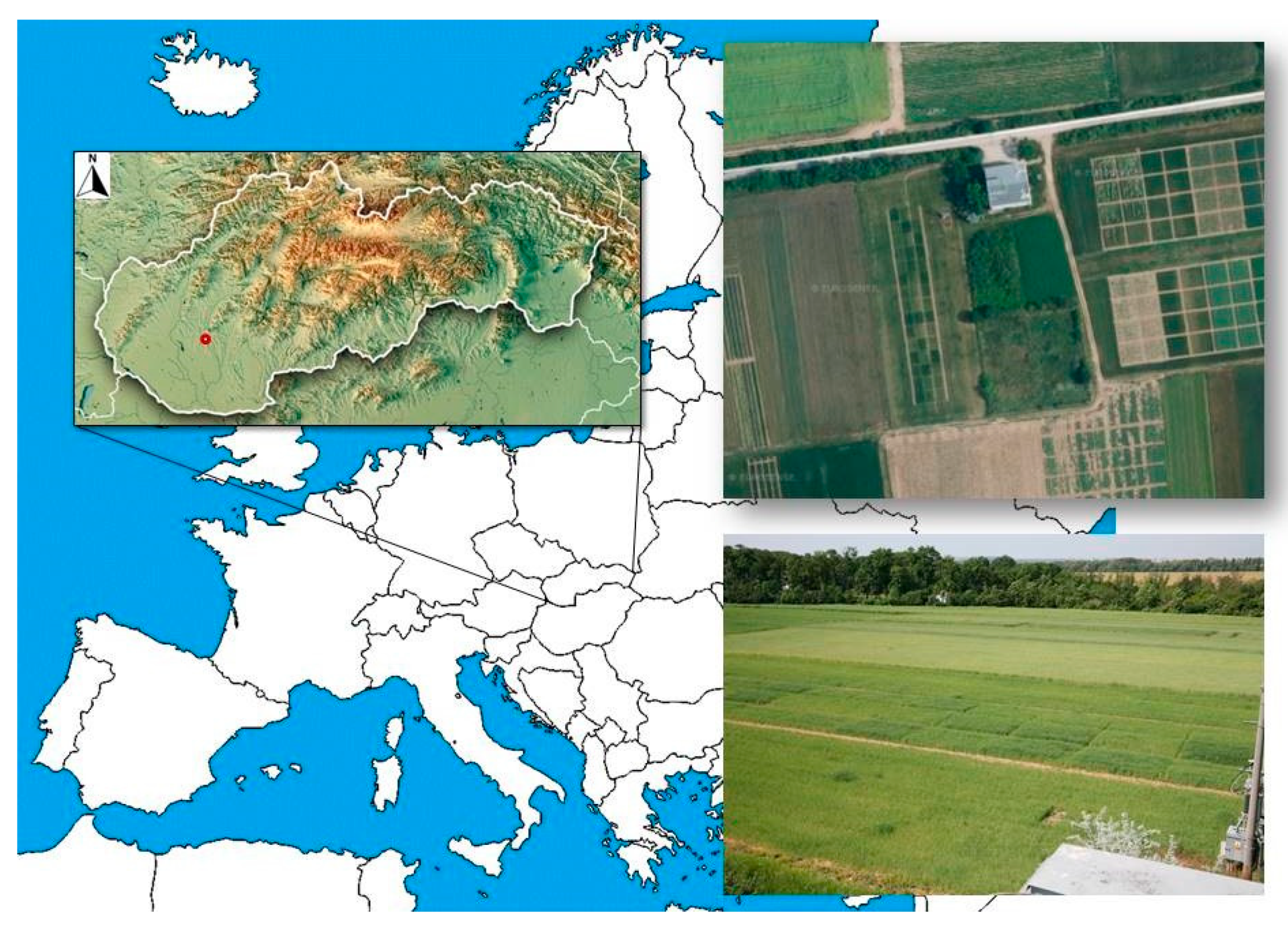 Agronomy 10 01005 g001