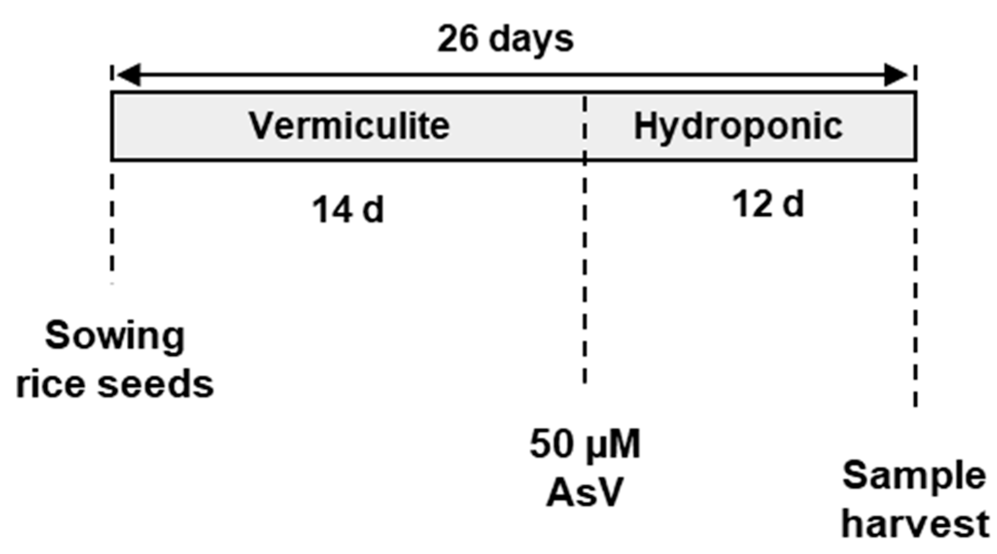 Agronomy 10 01014 g001