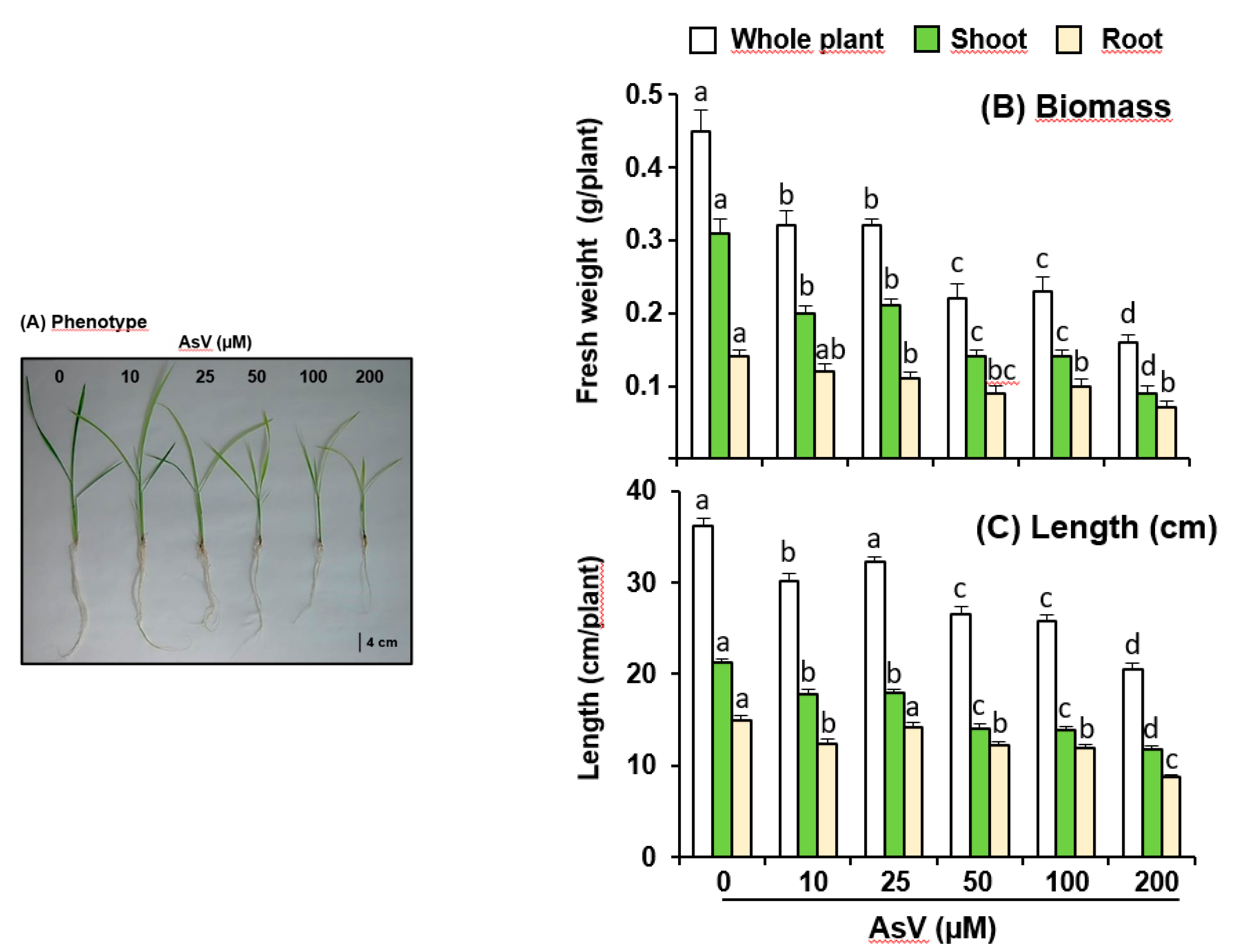 Agronomy 10 01014 g002