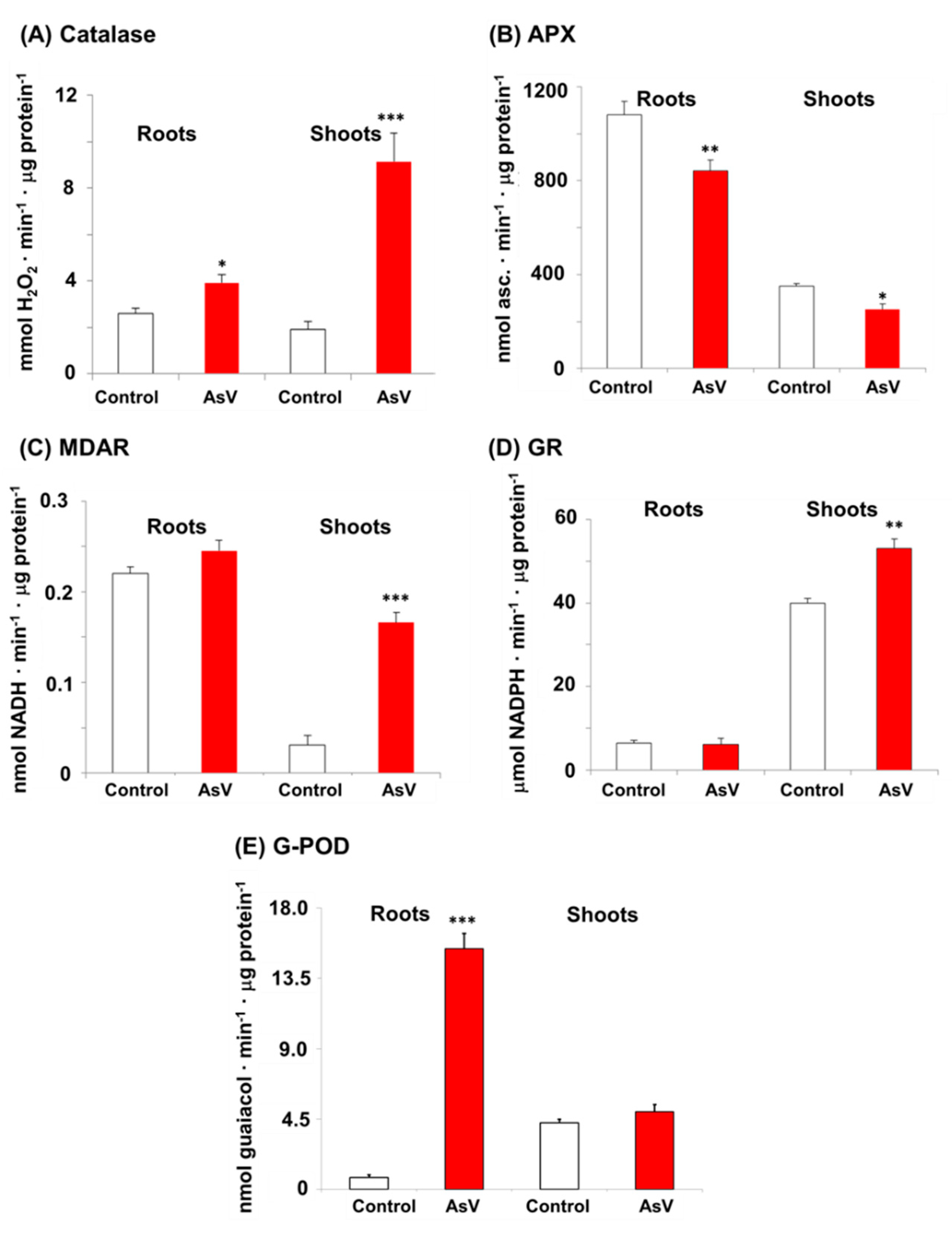 Agronomy 10 01014 g005