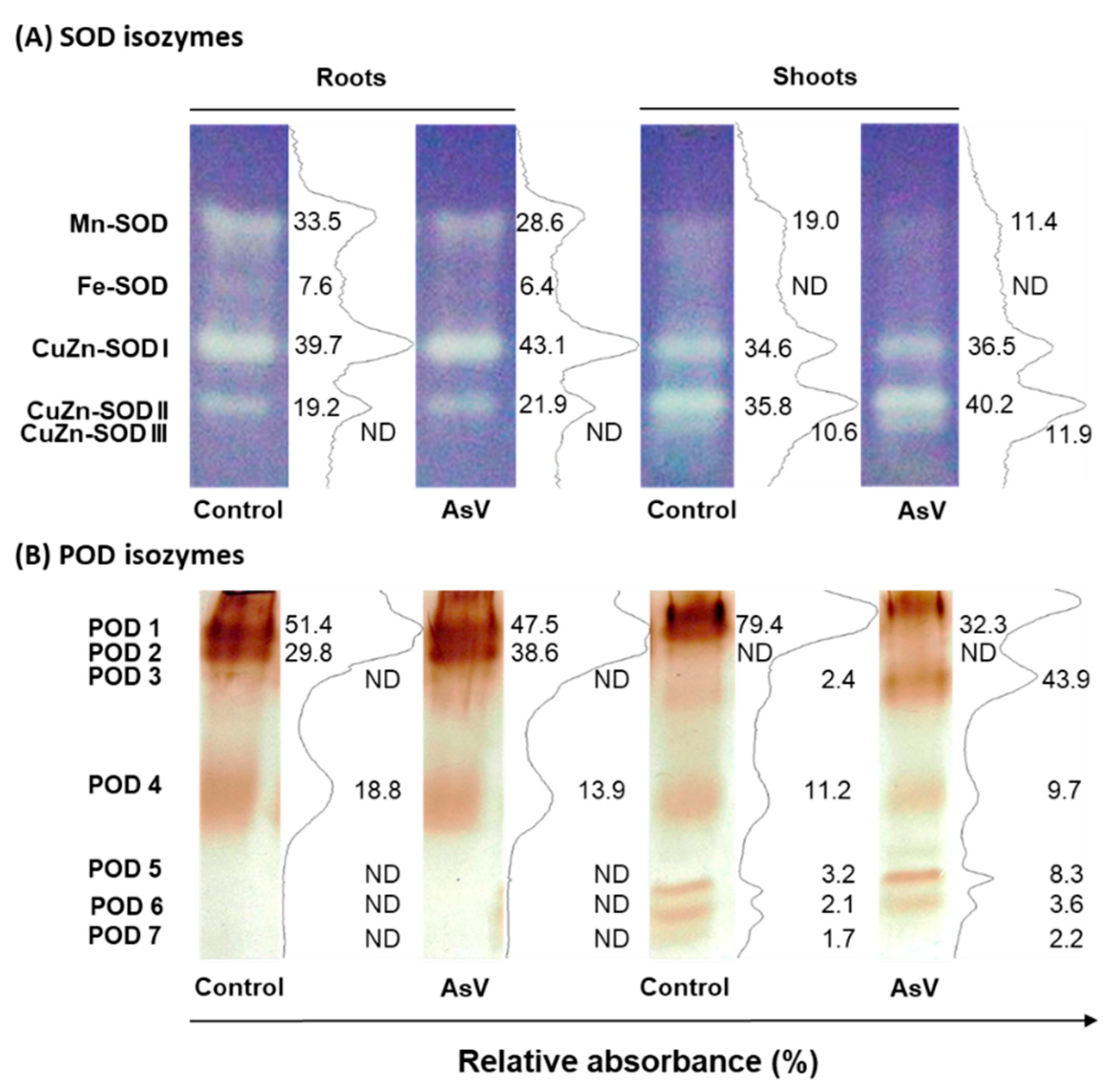 Agronomy 10 01014 g006