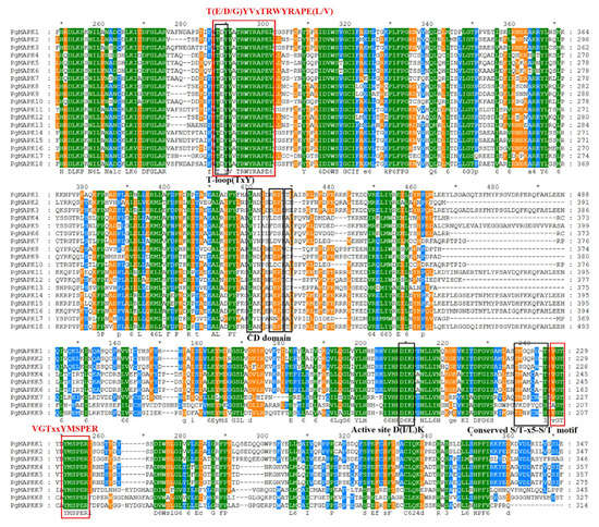 Genome-Wide Identification and Expression Analysis of MAPK and MAPKK ...