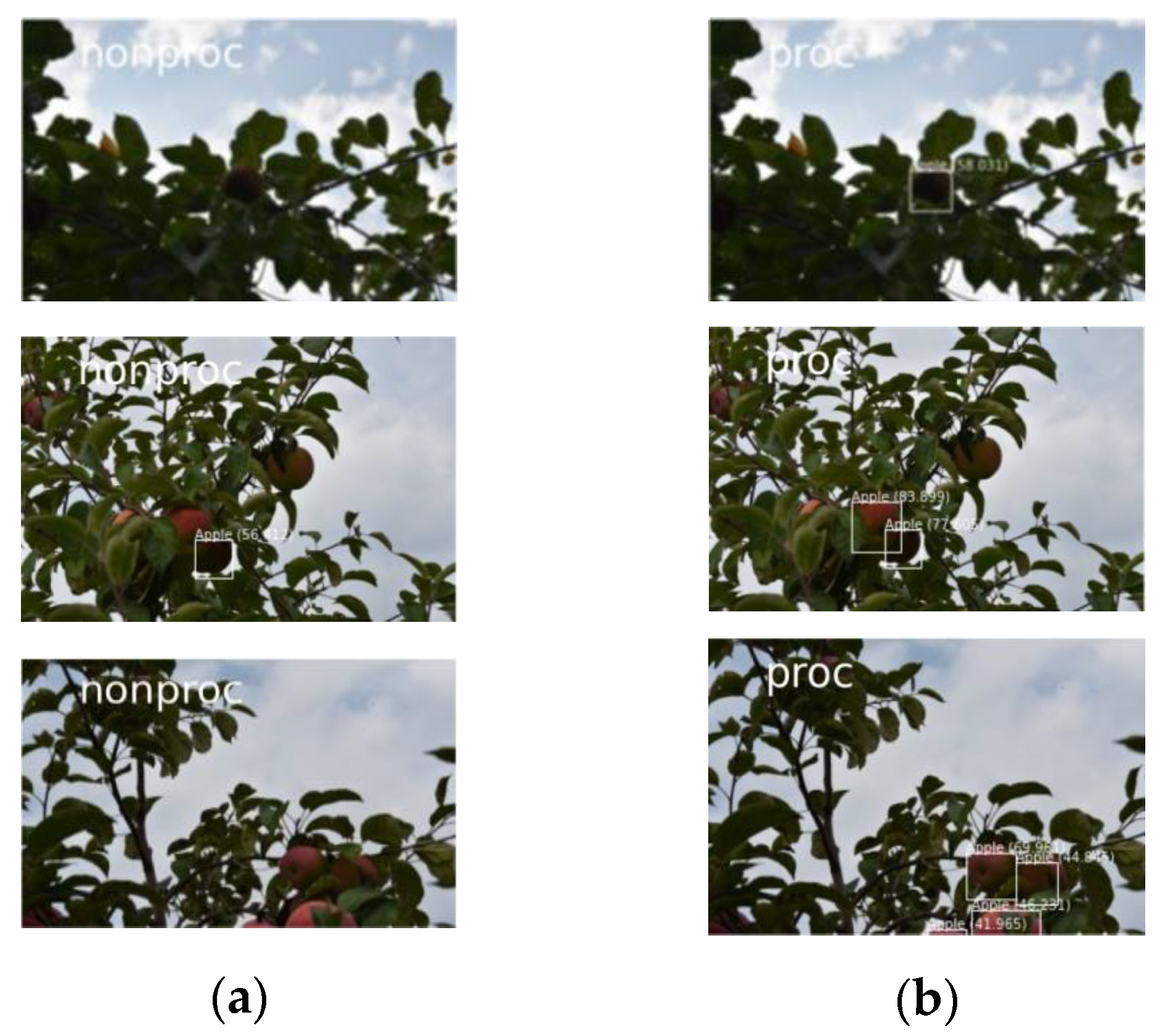 Agronomy 10 01016 g004