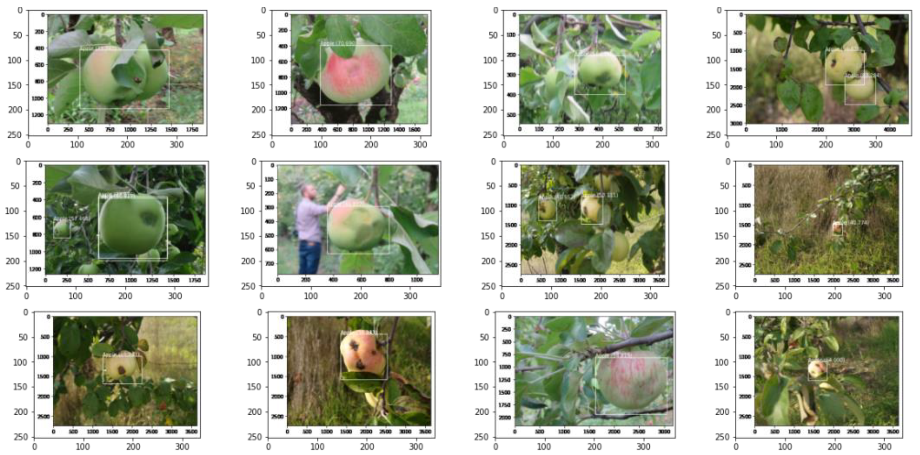 Agronomy 10 01016 g005