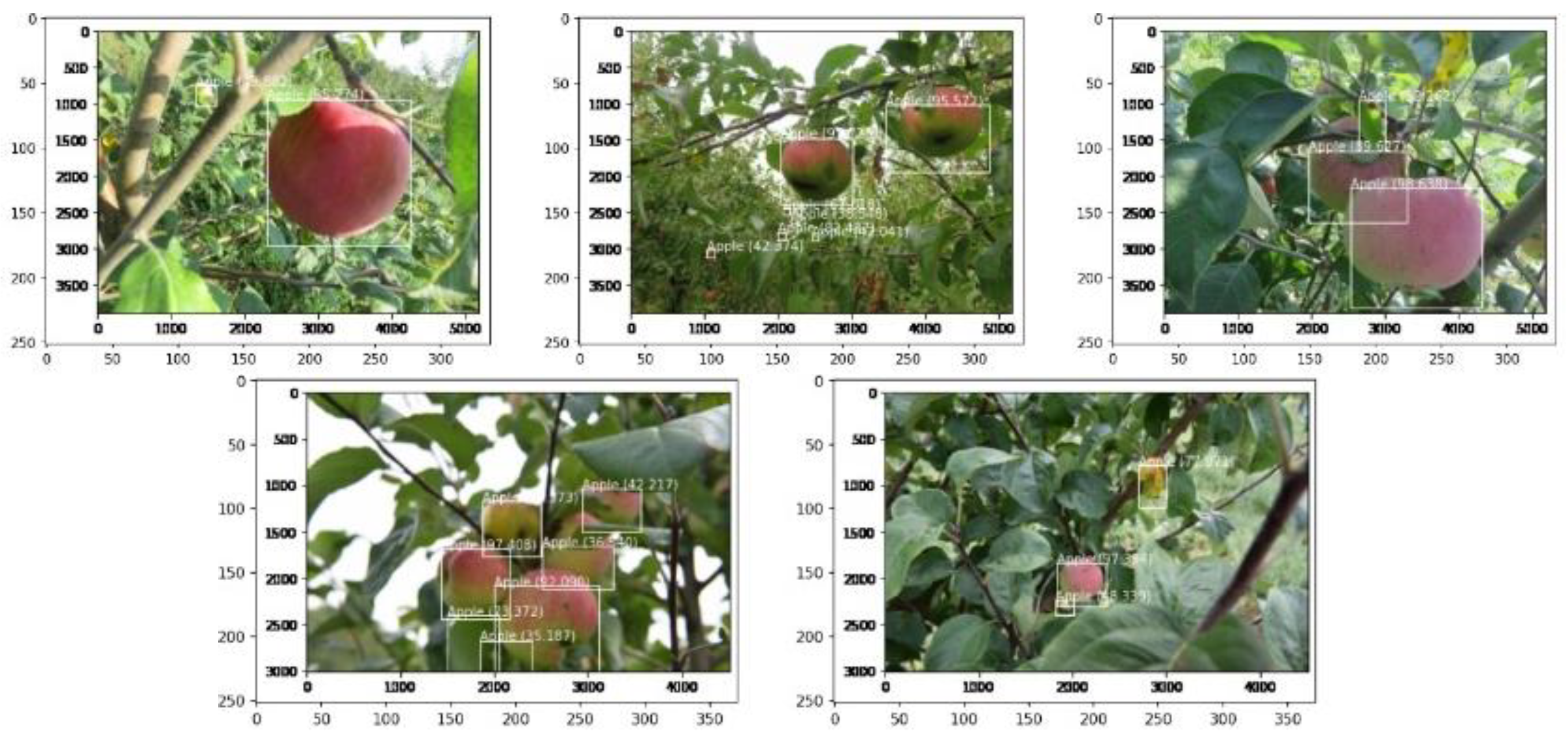 Agronomy 10 01016 g006