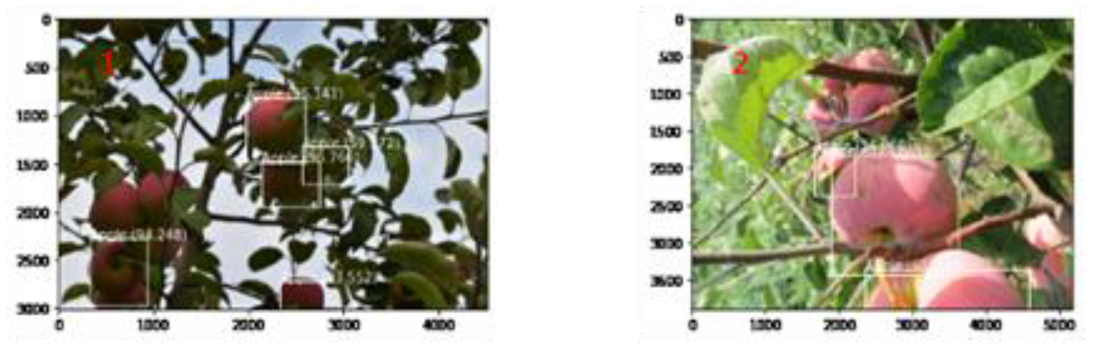 Agronomy 10 01016 g012