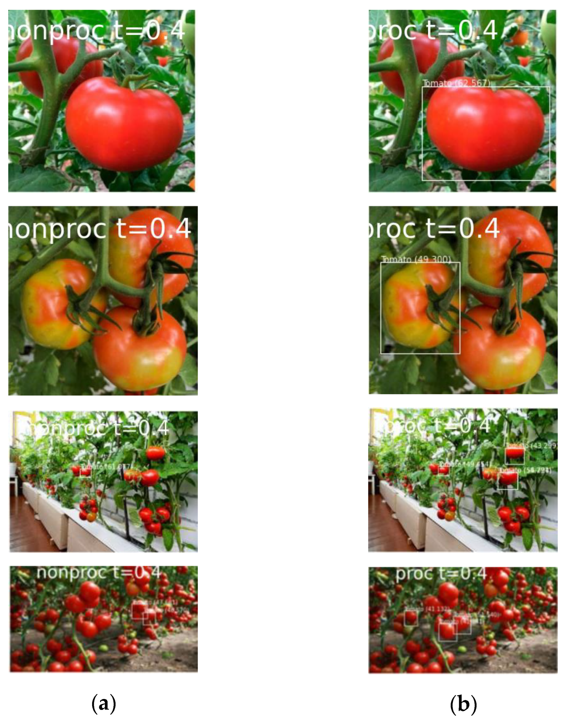 Agronomy 10 01016 g014