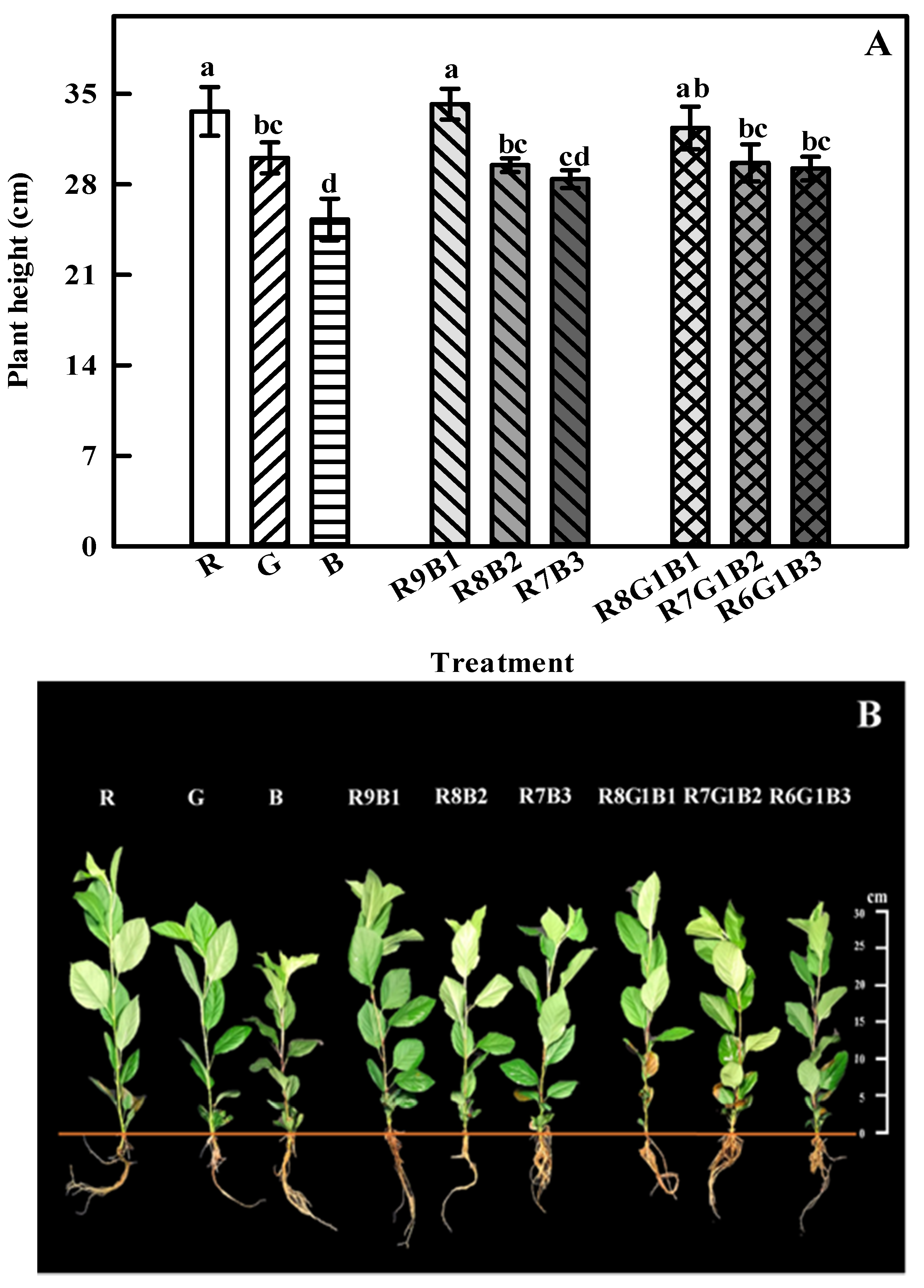 Agronomy 10 01017 g002
