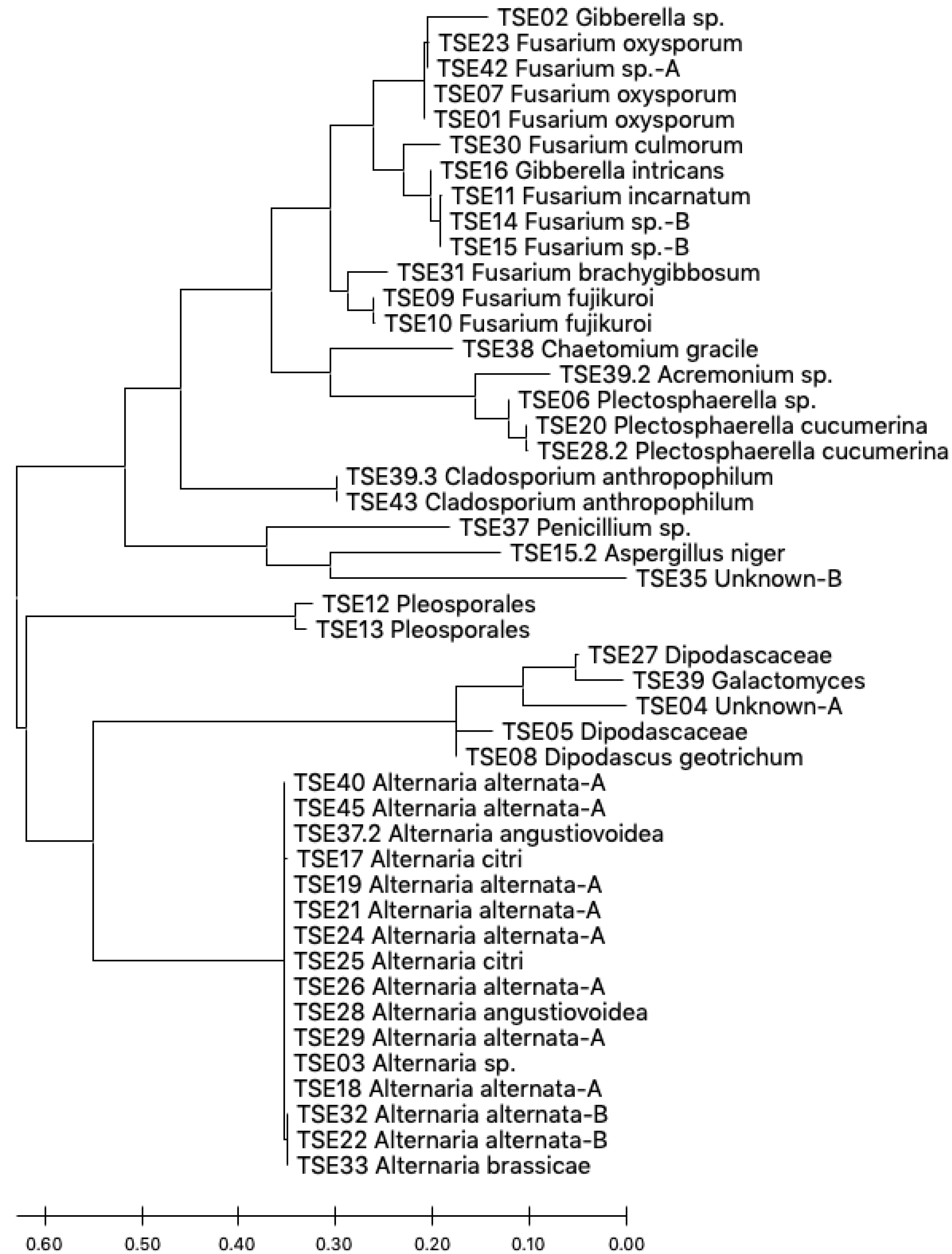 Agronomy 10 01019 g004