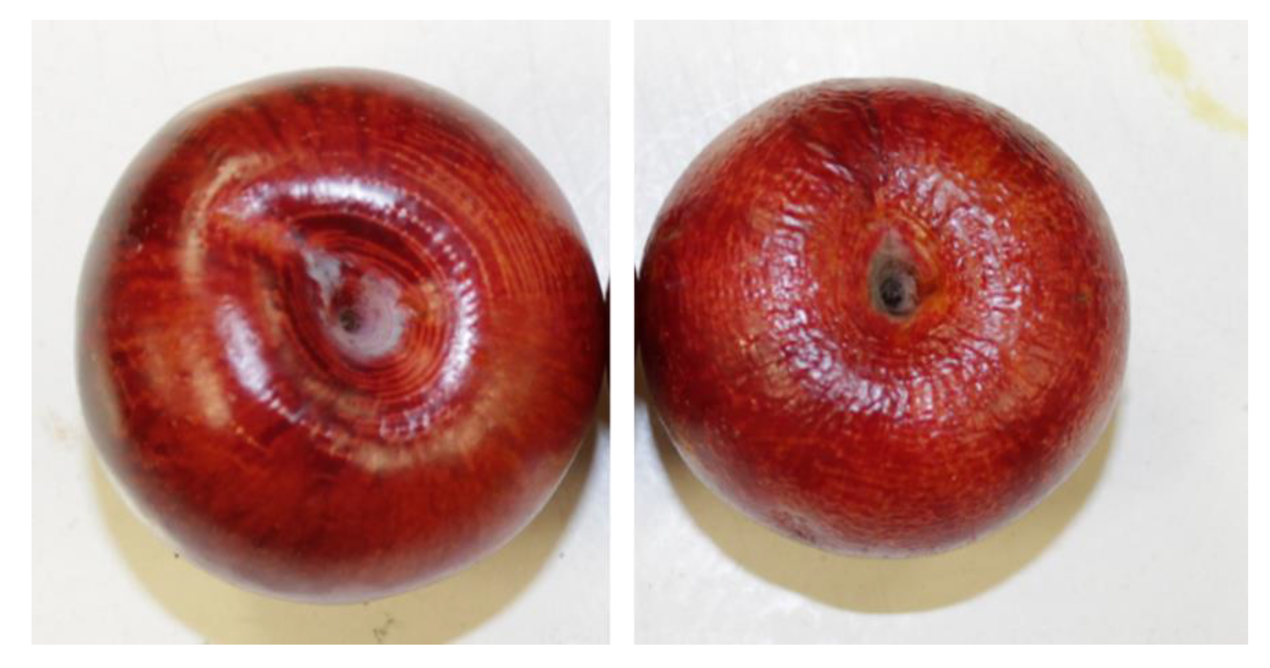 Agronomy 10 01023 g001 Agronomy 10 01023 g001