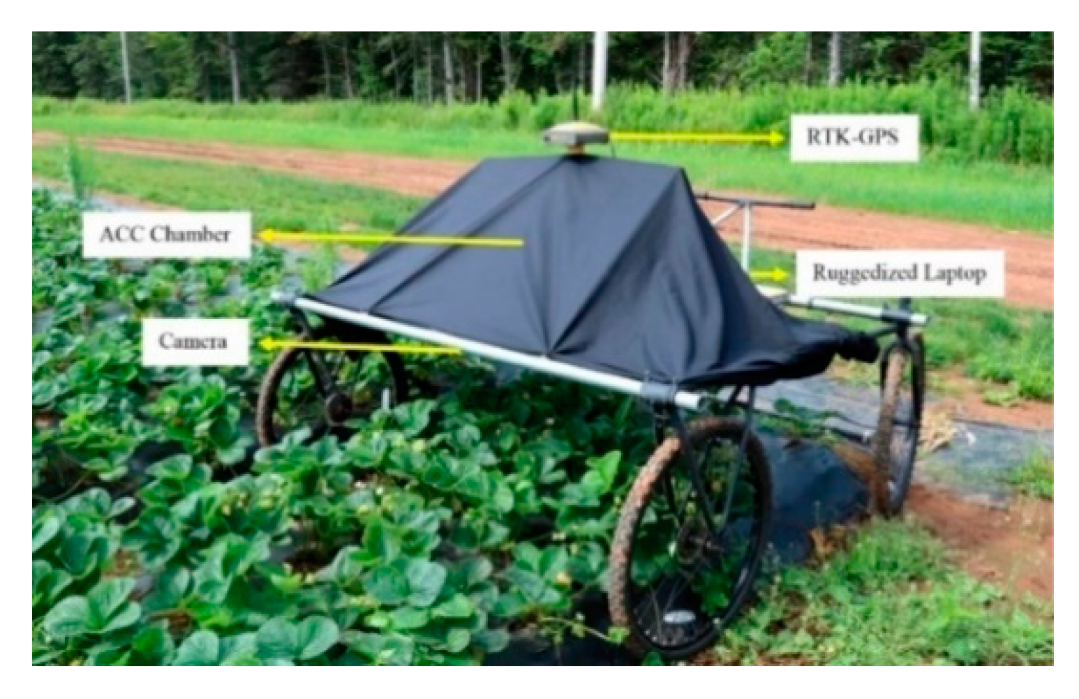 Agronomy 10 01027 g001