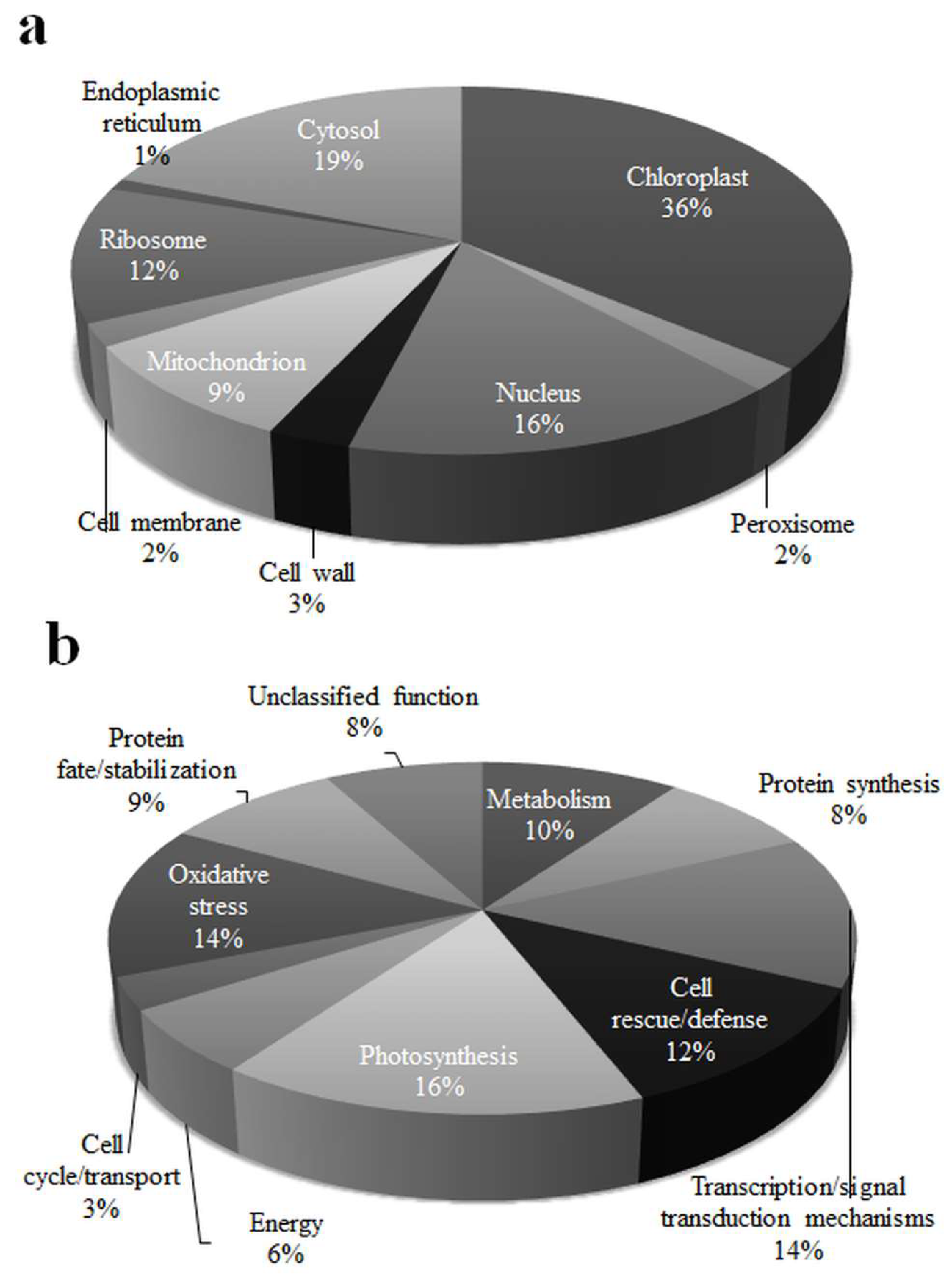 Agronomy 10 01028 g002 Agronomy 10 01028 g002