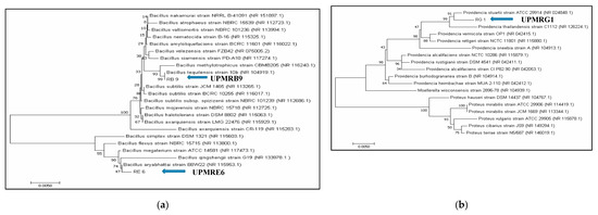 Agronomy 10 01030 g001 550