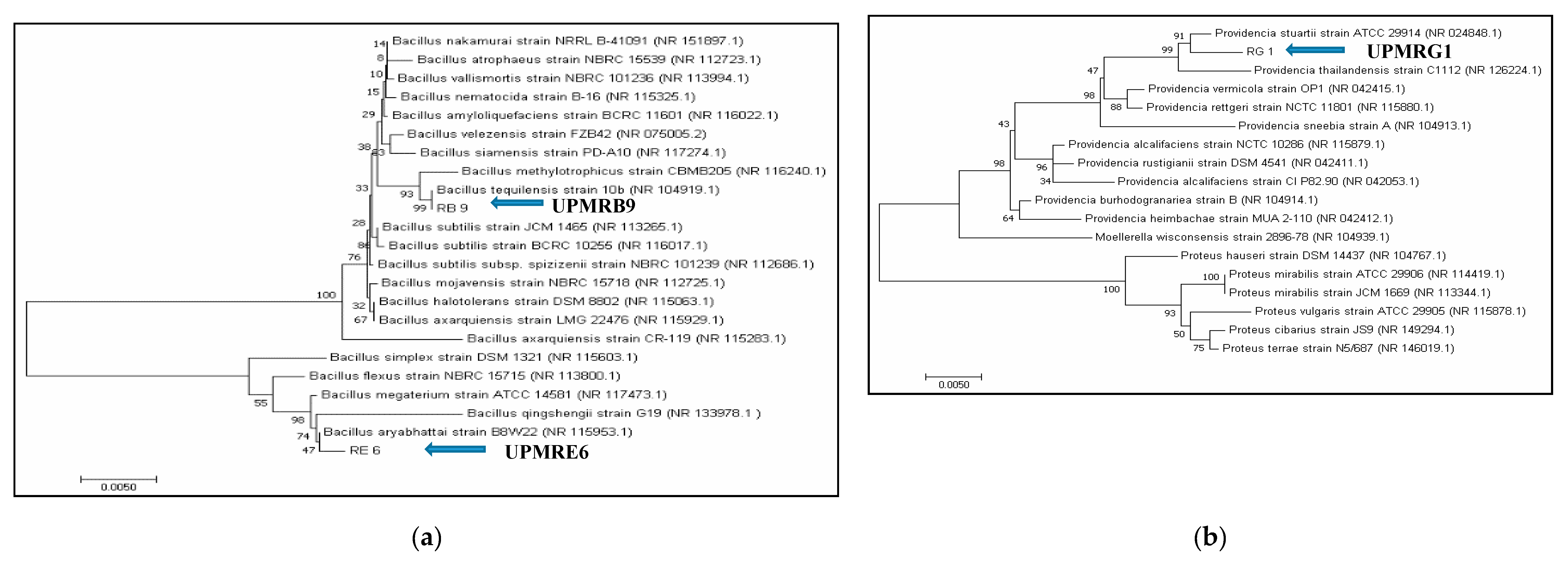 Agronomy 10 01030 g001