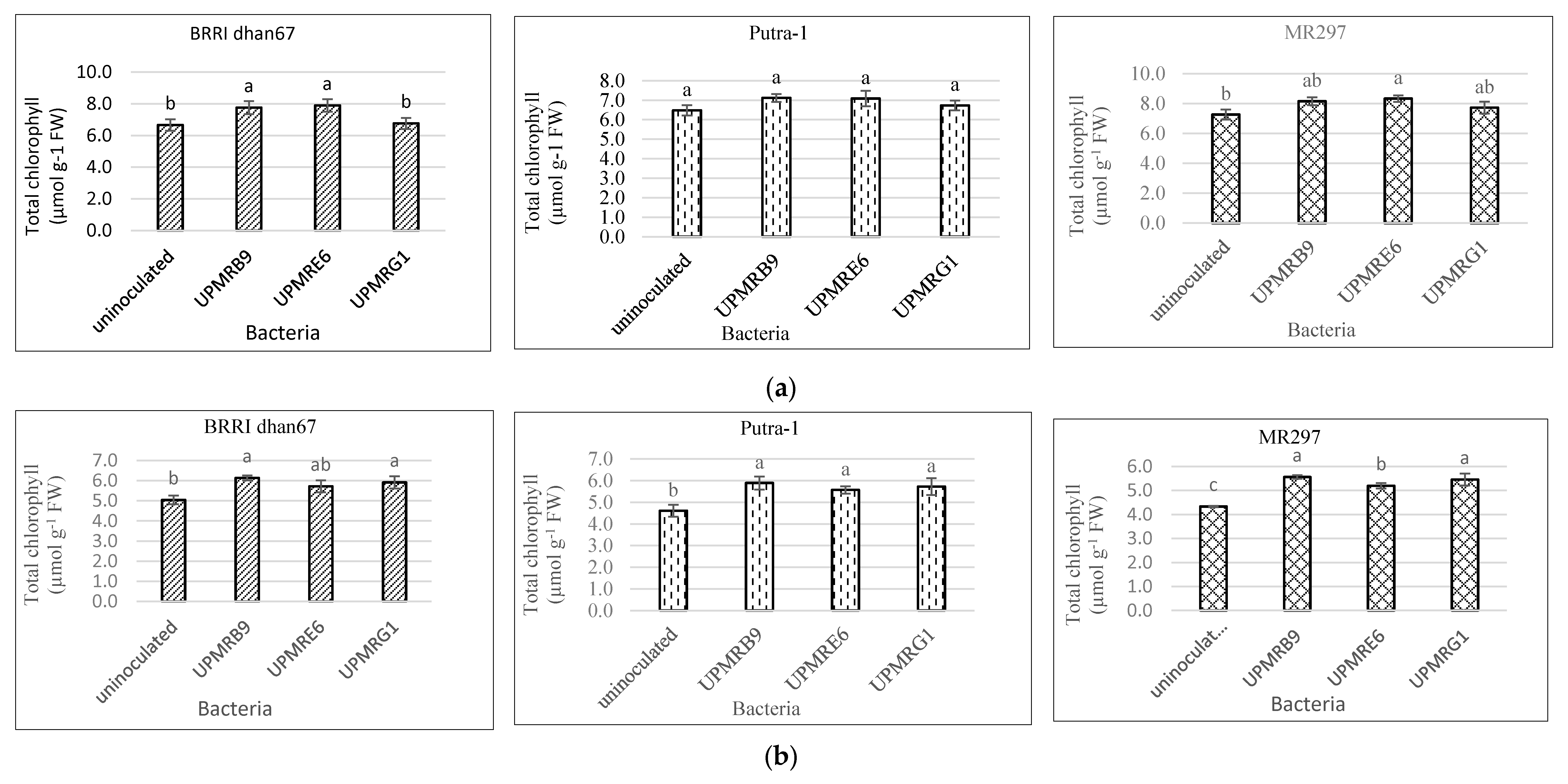 Agronomy 10 01030 g002