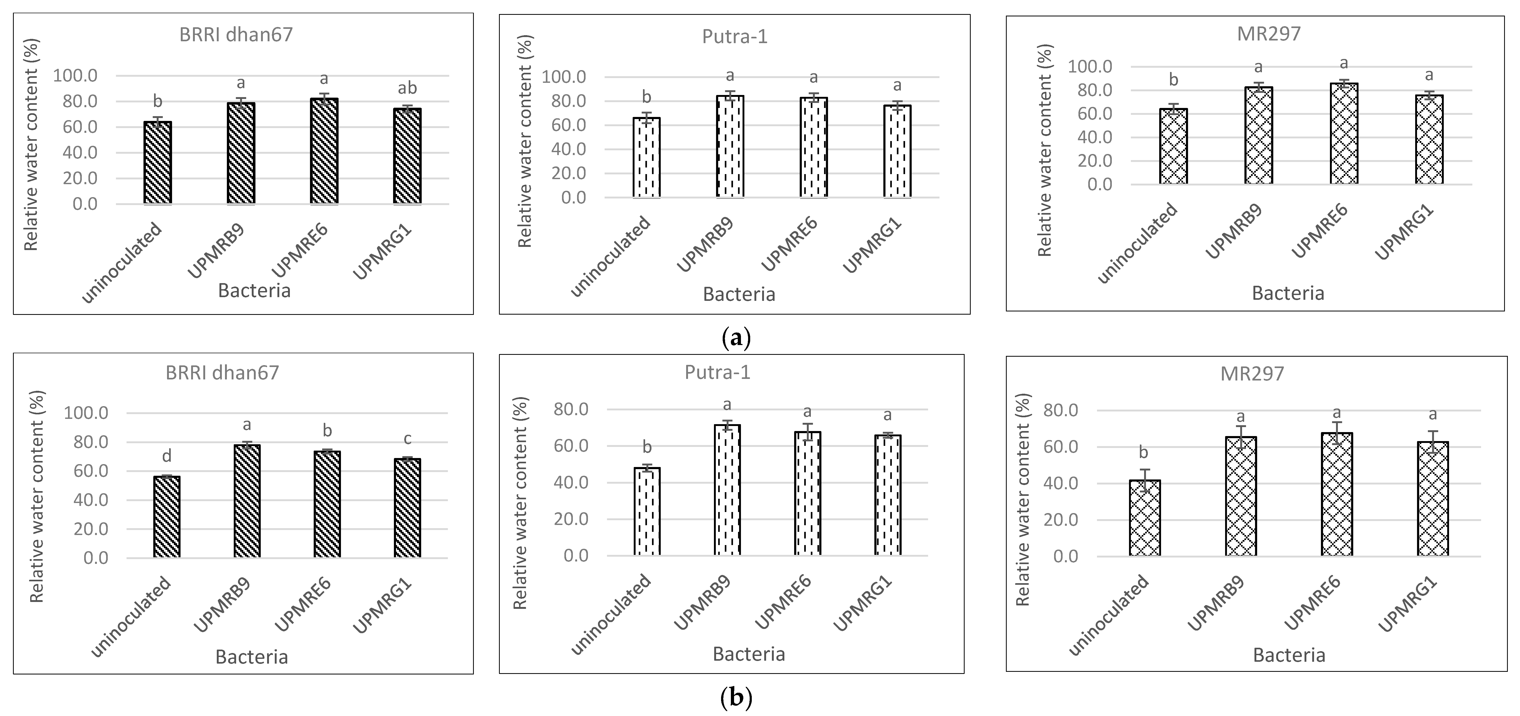 Agronomy 10 01030 g003