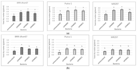 Agronomy 10 01030 g005 550