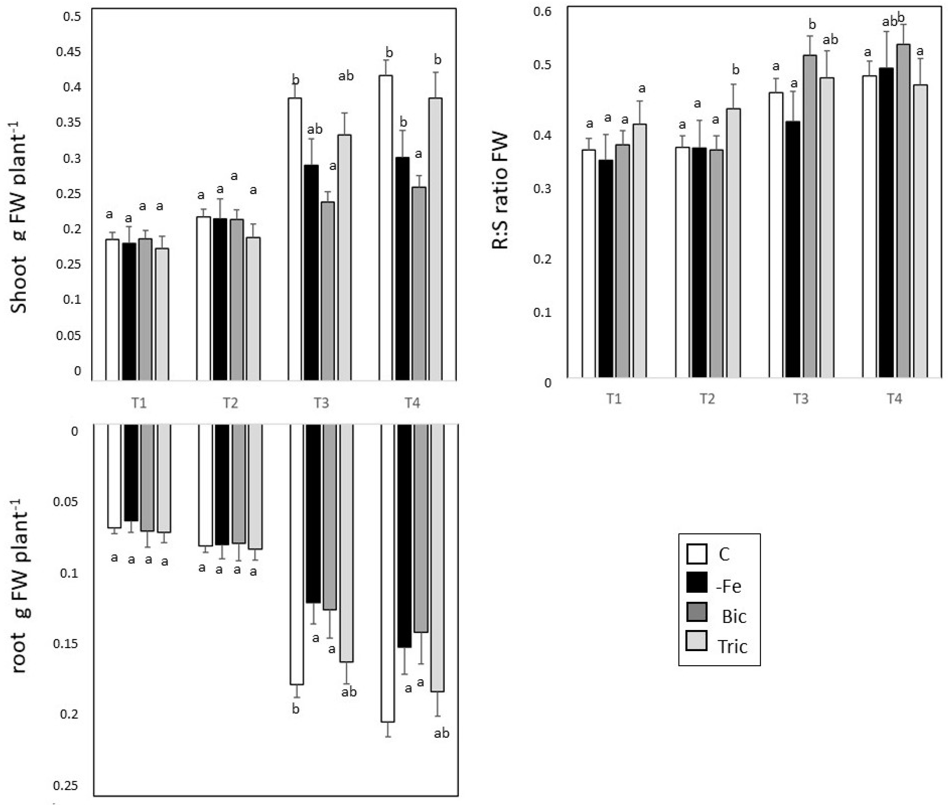 Agronomy 10 01037 g001